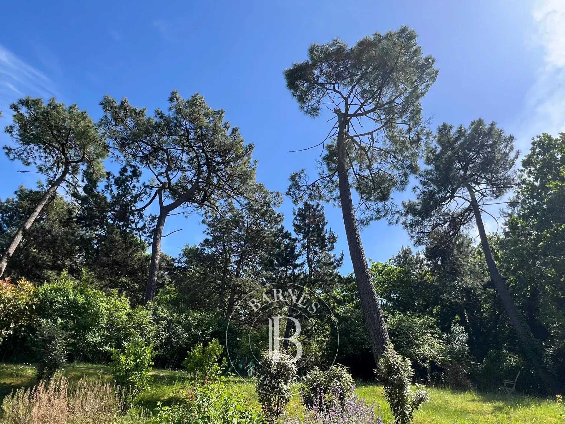 Maison Le Touquet-Paris-Plage  -  ref 86505071 (picture 1)