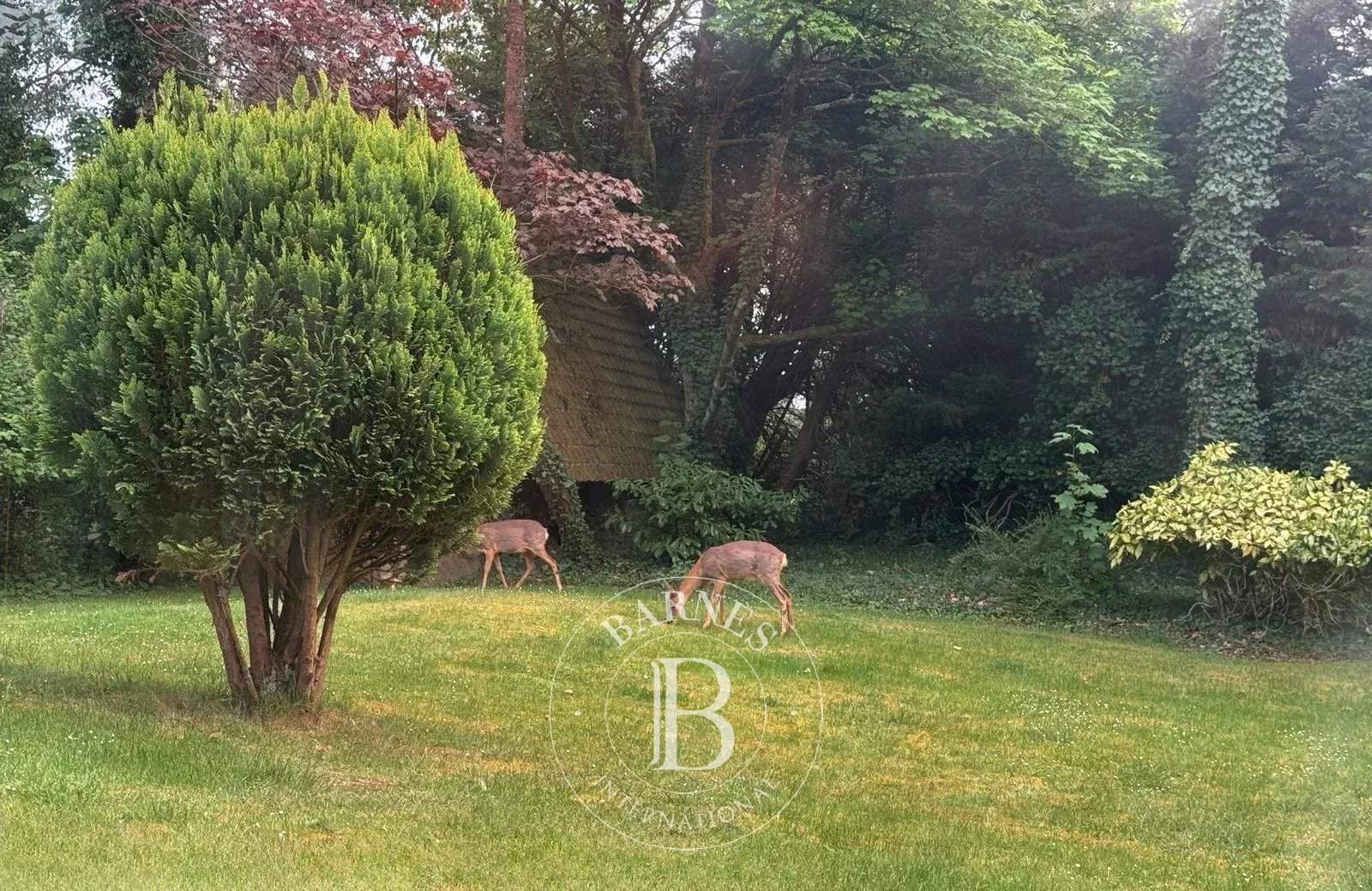 Le Touquet-Paris-Plage  - Maison 6 Pi&egrave;ces 5 Chambres - picture 7