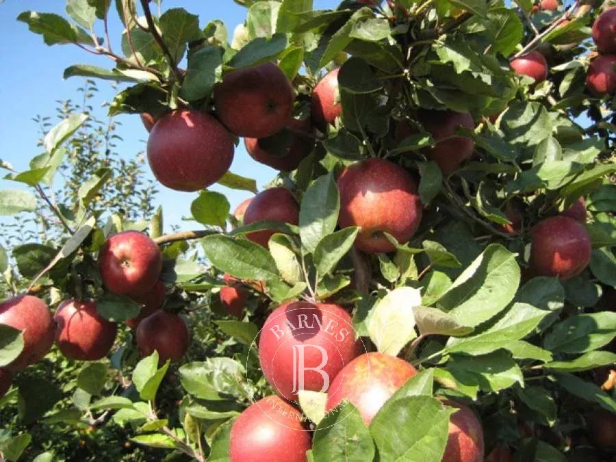 Cucq  - Maison 5 Pi&egrave;ces 4 Chambres - picture 17