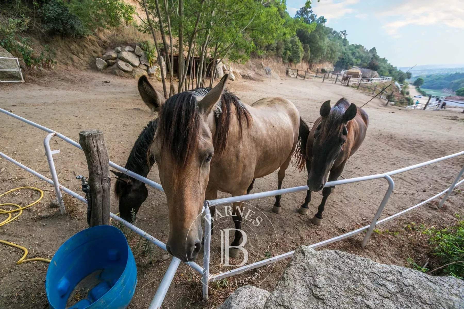 Sant Andreu de Llavaneres  - Equestrian estate 7 Bedrooms - picture 14