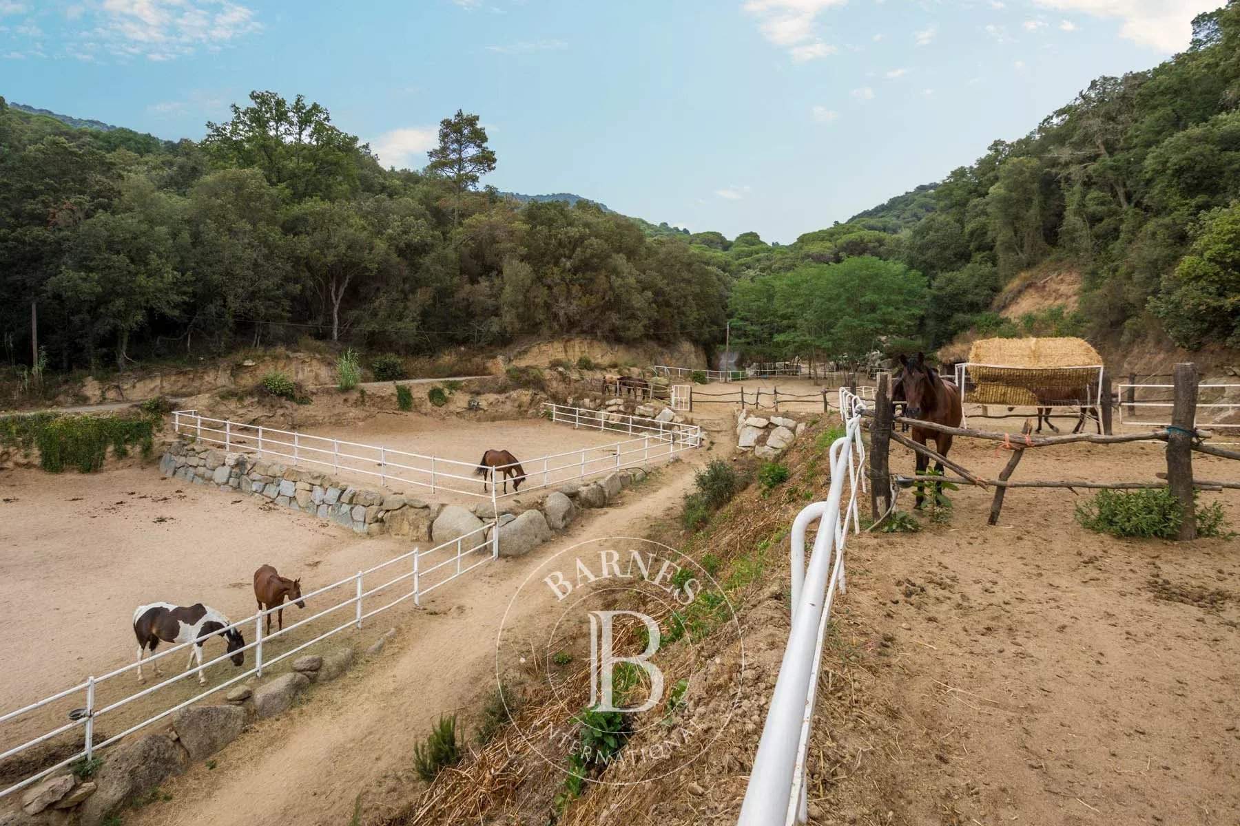 Sant Andreu de Llavaneres  - Equestrian estate 7 Bedrooms - picture 16