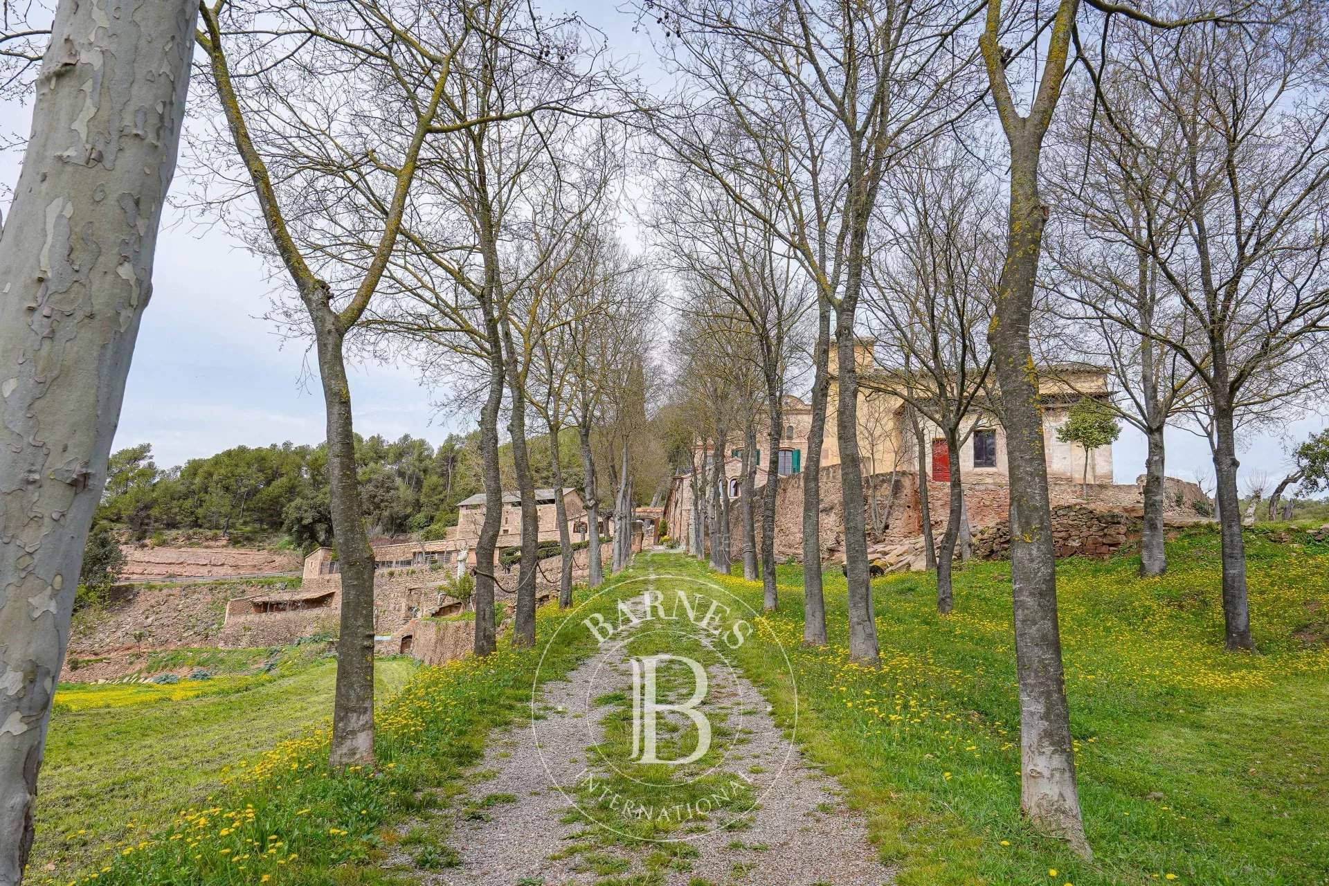 Castellnou de Bages  - House 10 Bedrooms - picture 9