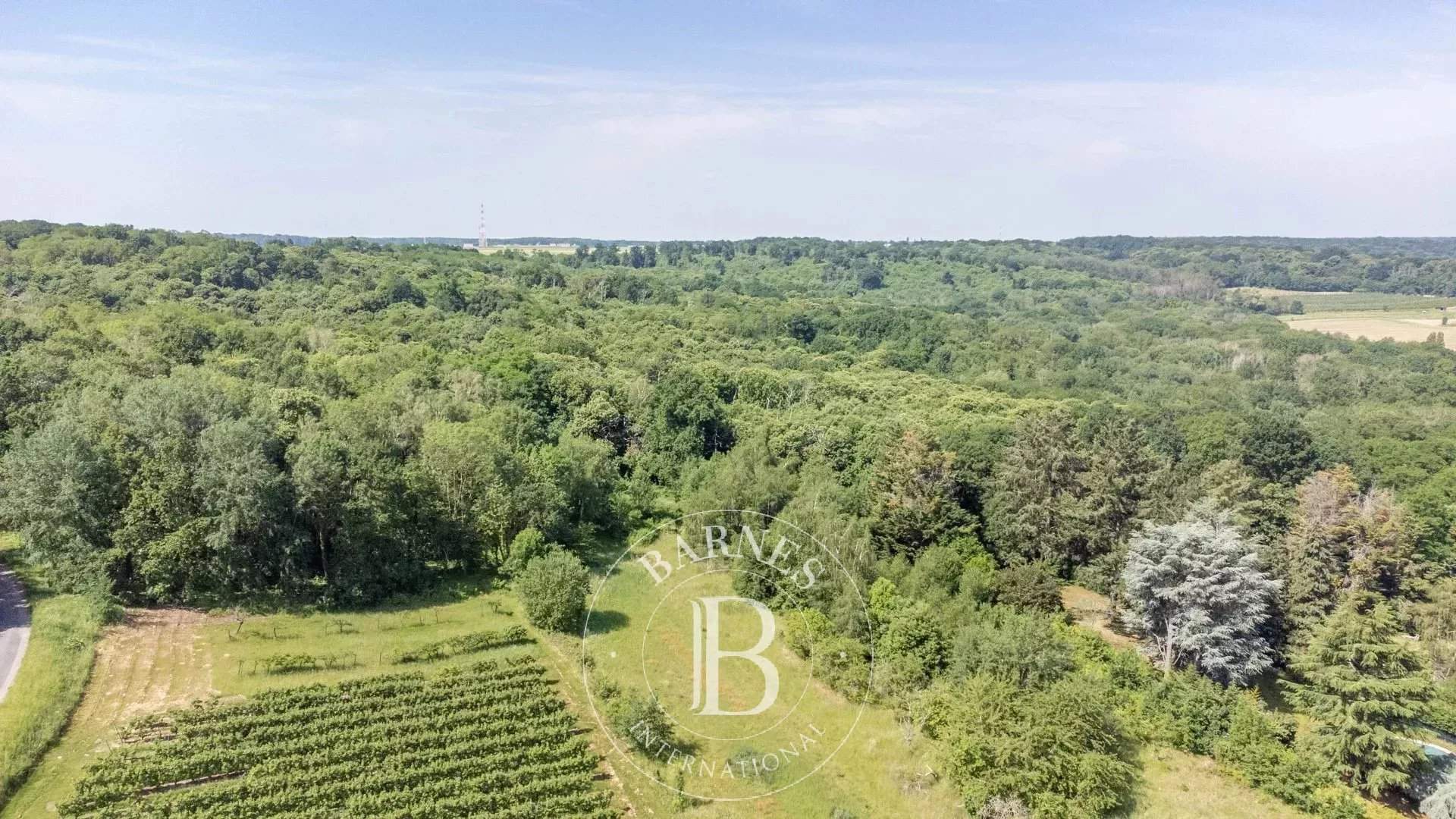 Orgeval  - Plot of land  - picture 3