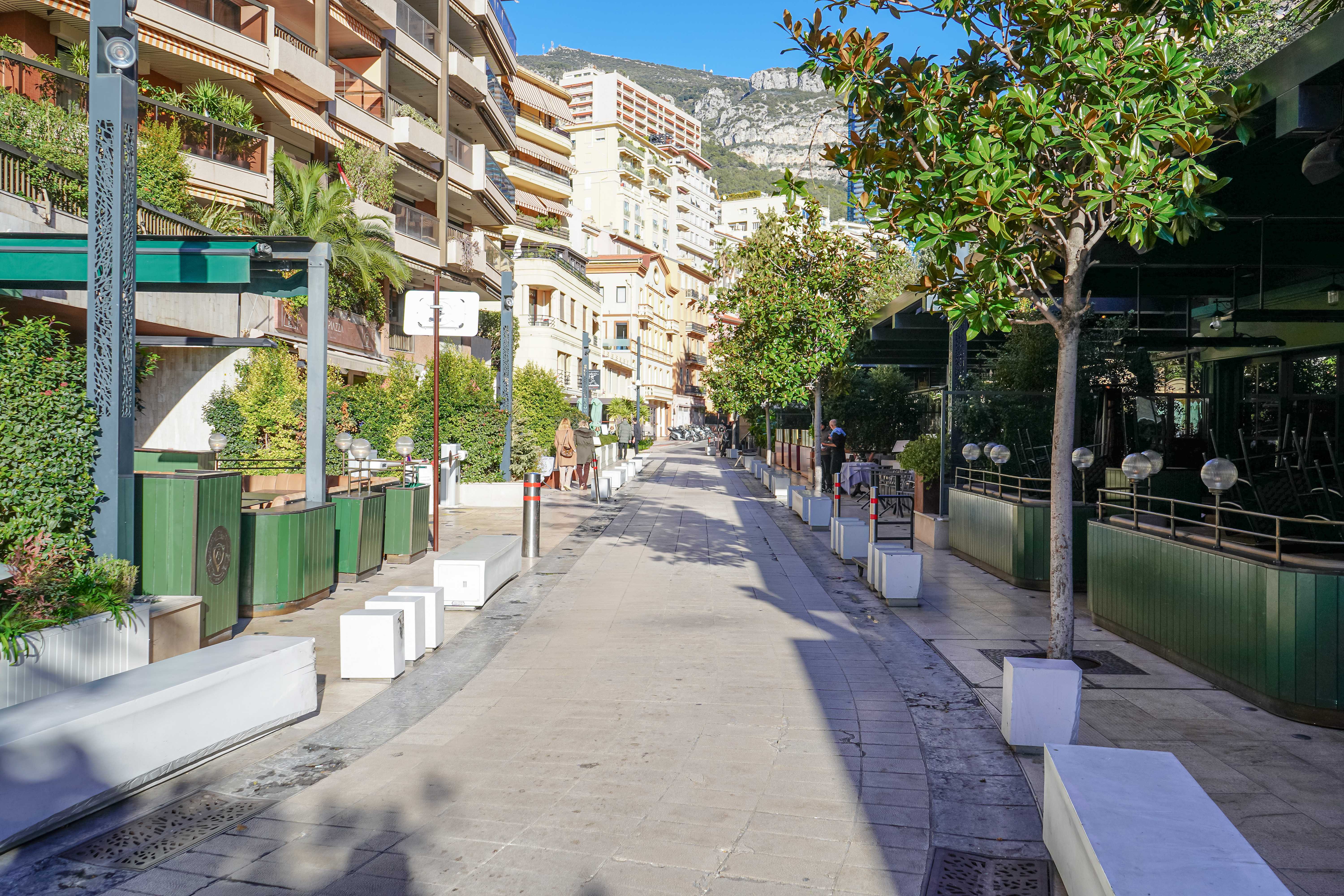 Local Monaco  -  ref MC-V1673 (picture 3)