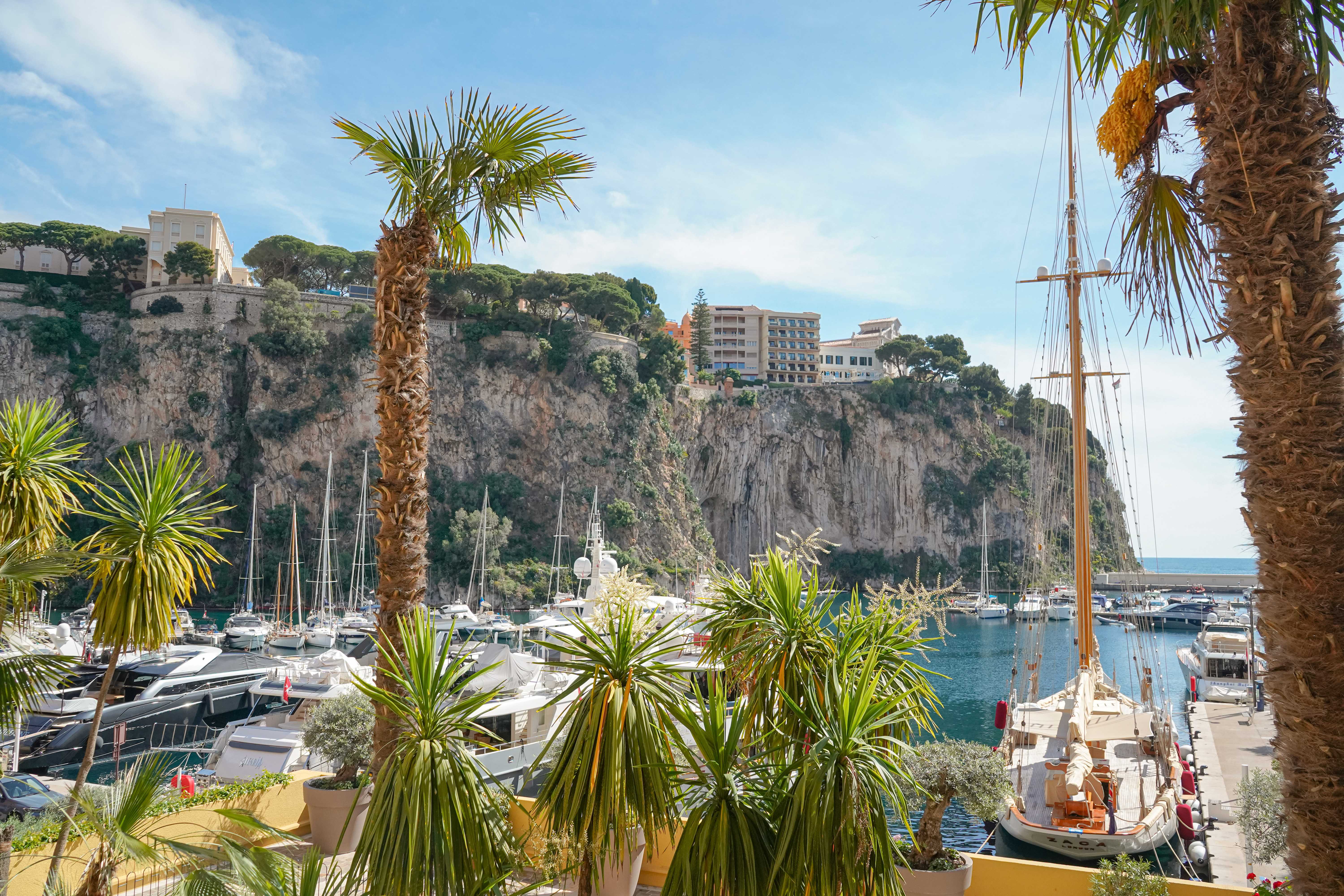 Appartement Monaco  -  ref MC-V1616 (picture 1)