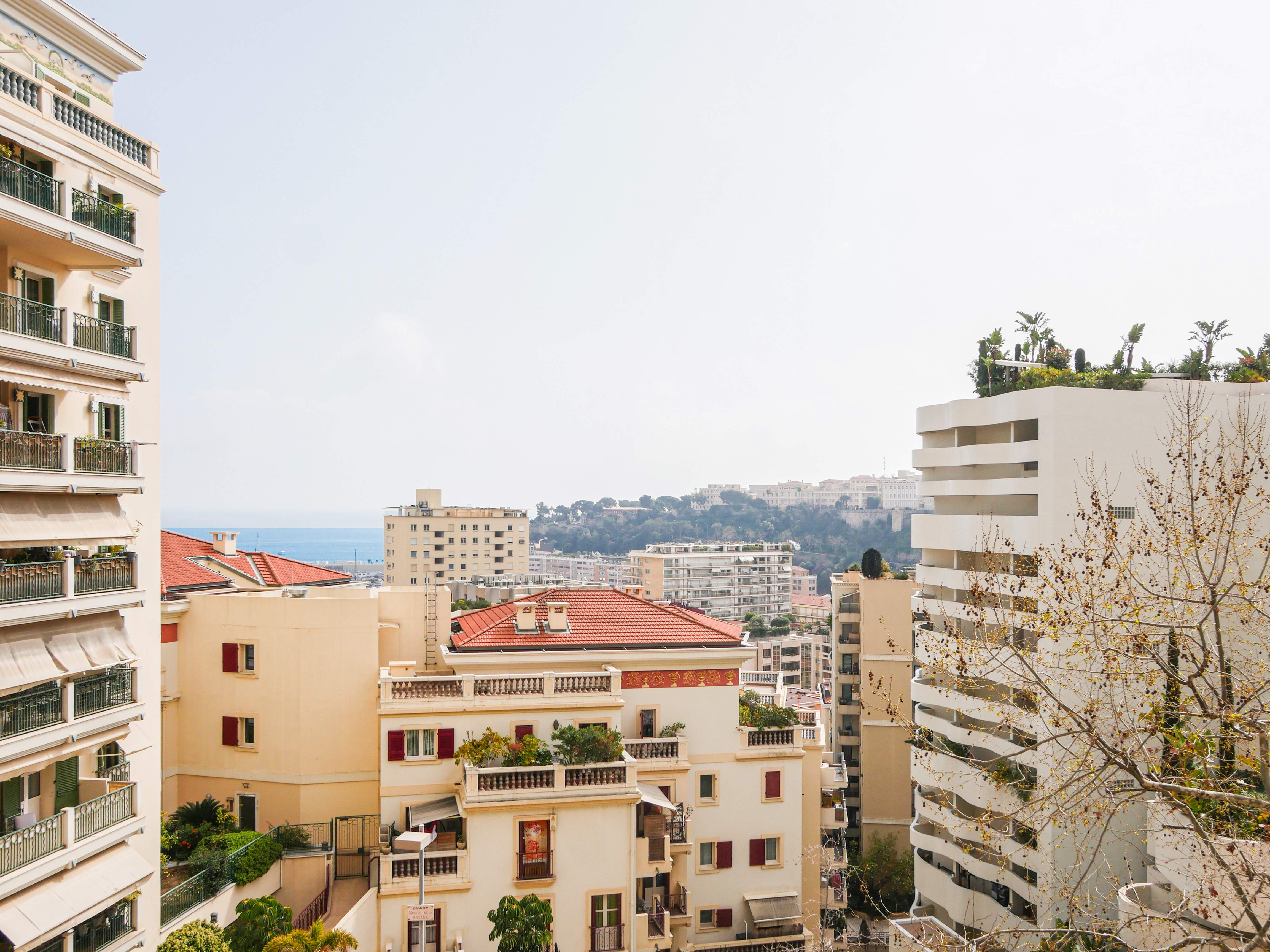 Monaco  - Apartment 3 Bedrooms - picture 13