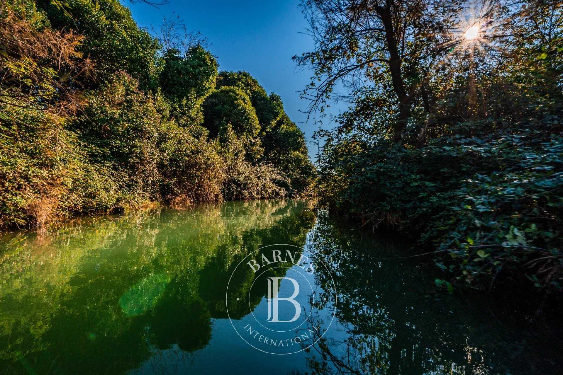 Property Venezia  -  ref 86479596 (picture 2)