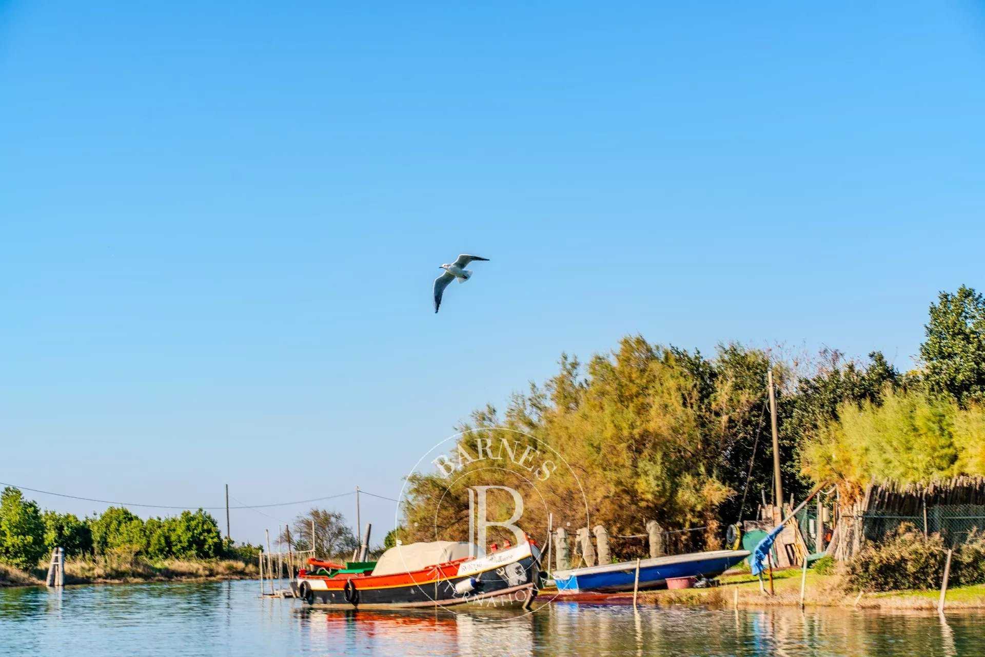 Property Venezia  -  ref 86479596 (picture 3)