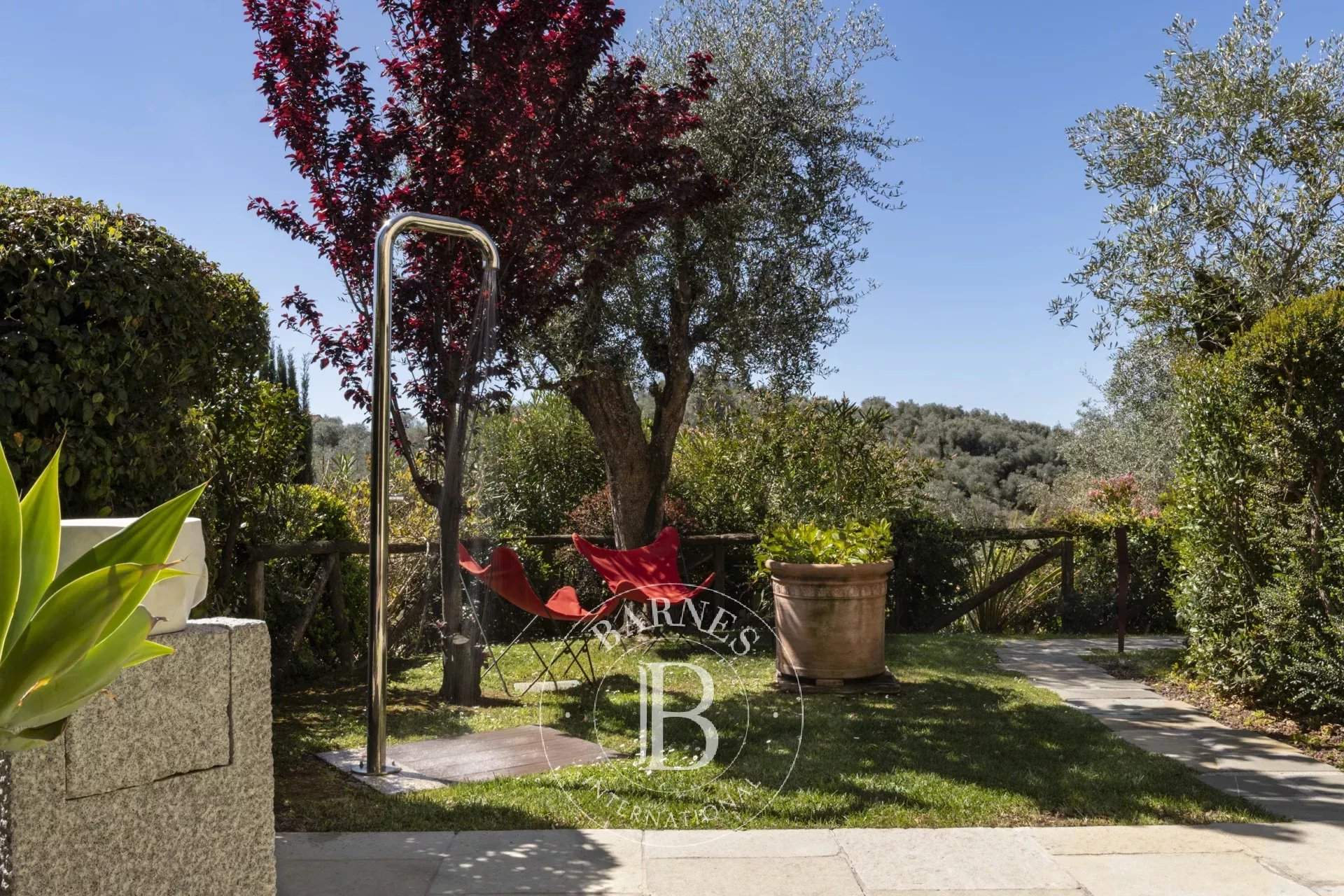 Camaiore  - Hotel  - picture 8