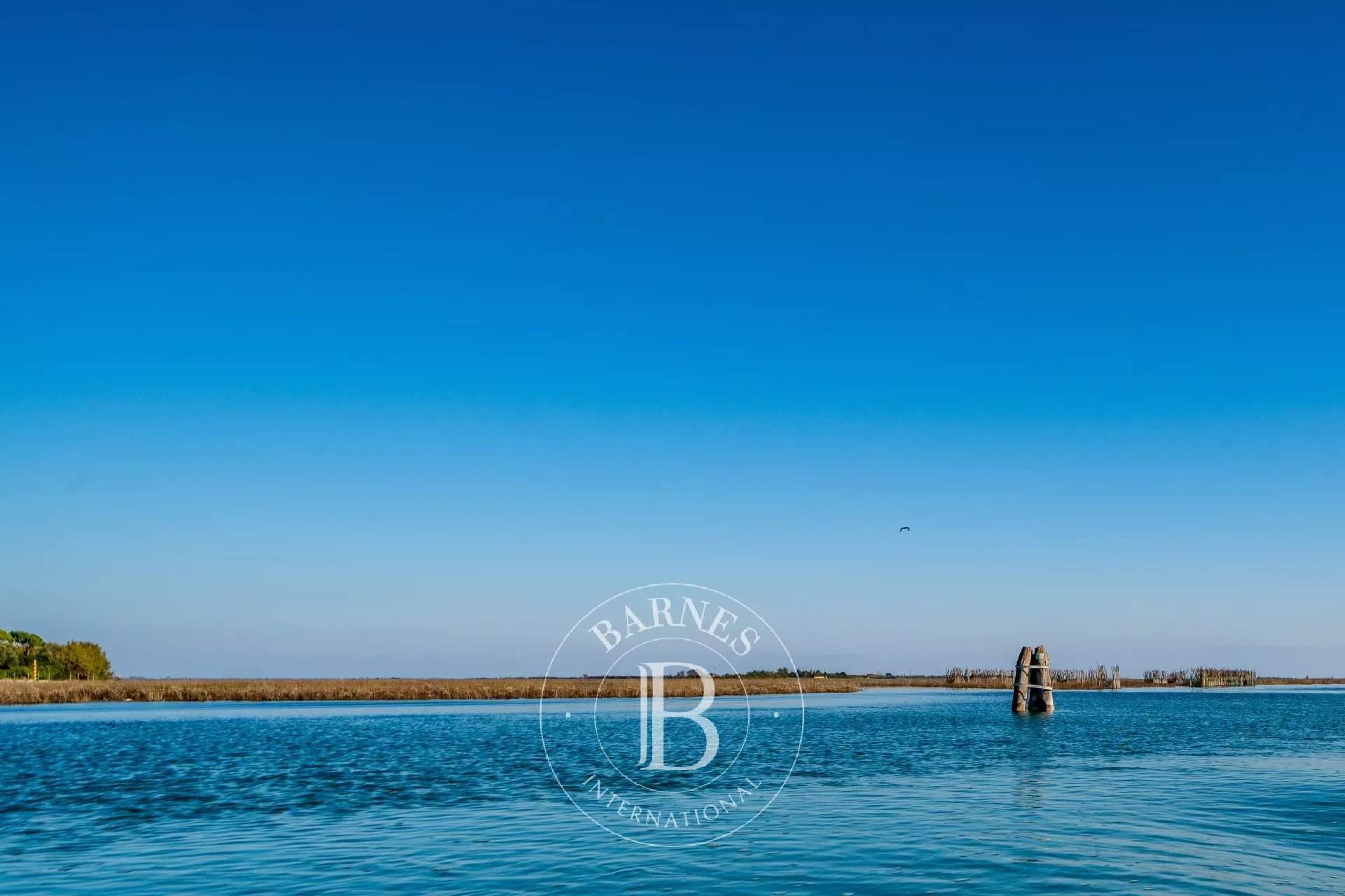 Venezia  - Propriété 10 Pi&egrave;ces - picture 11