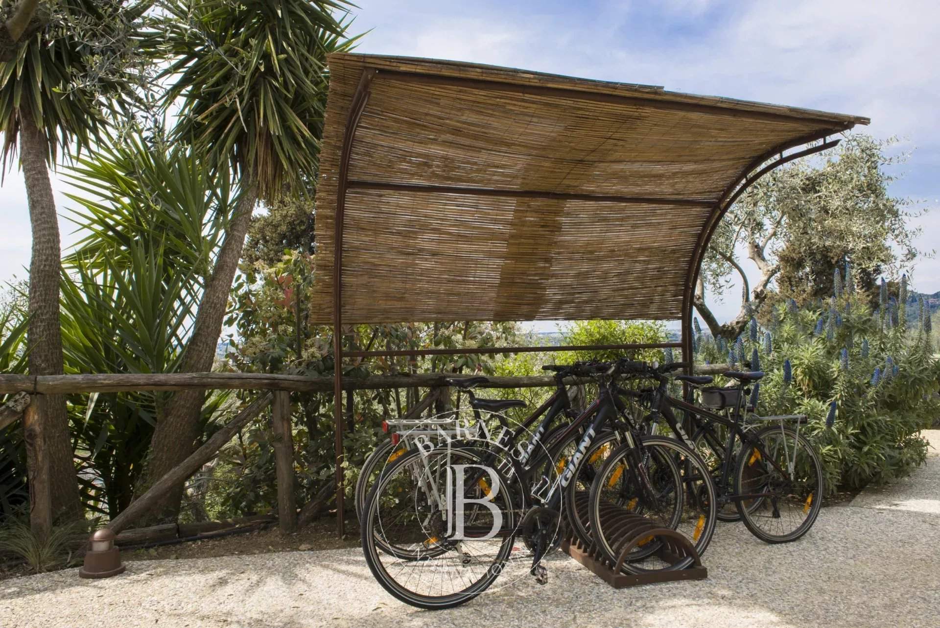 Camaiore  - Hotel  - picture 17