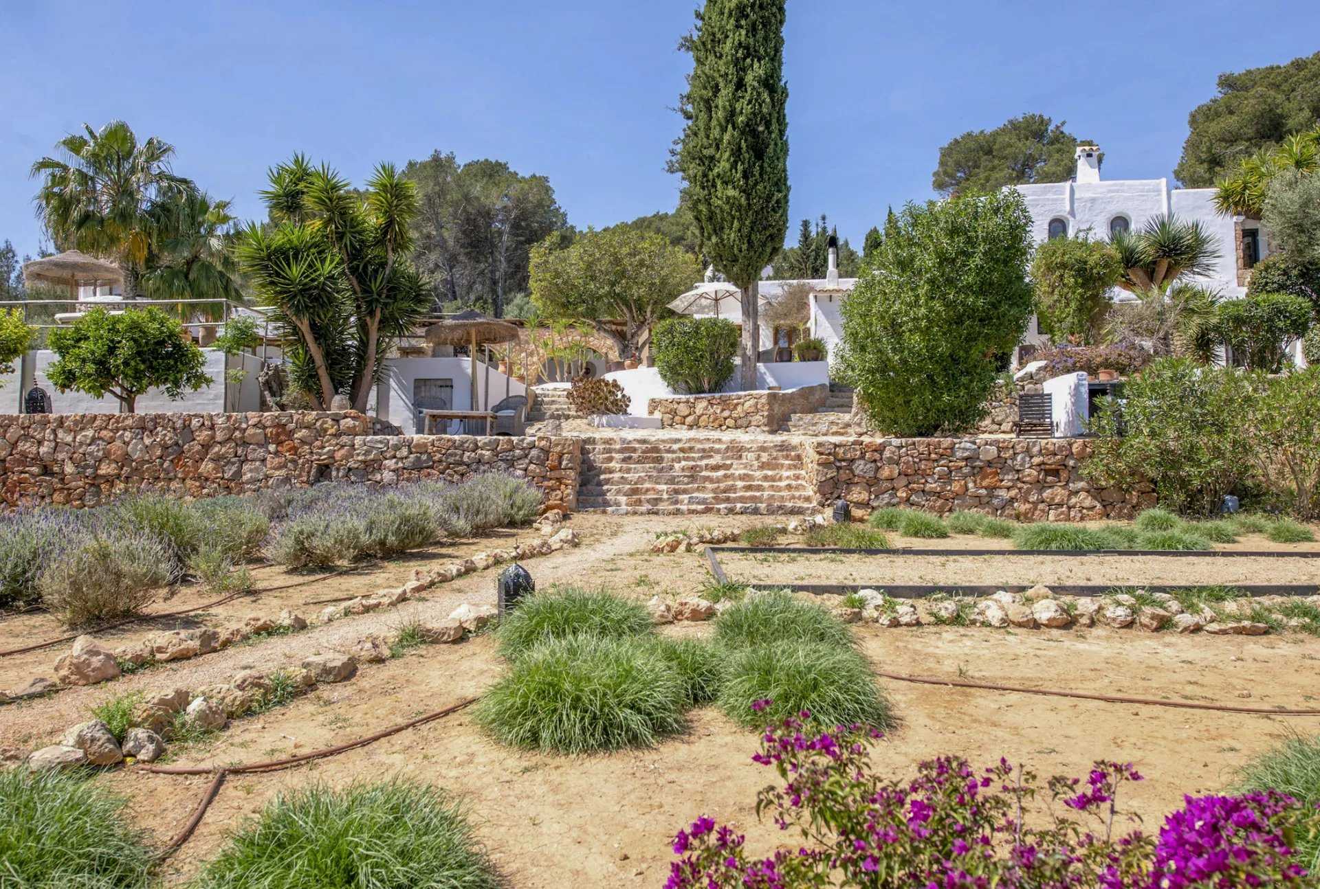Isla de Ibiza  - Villa 