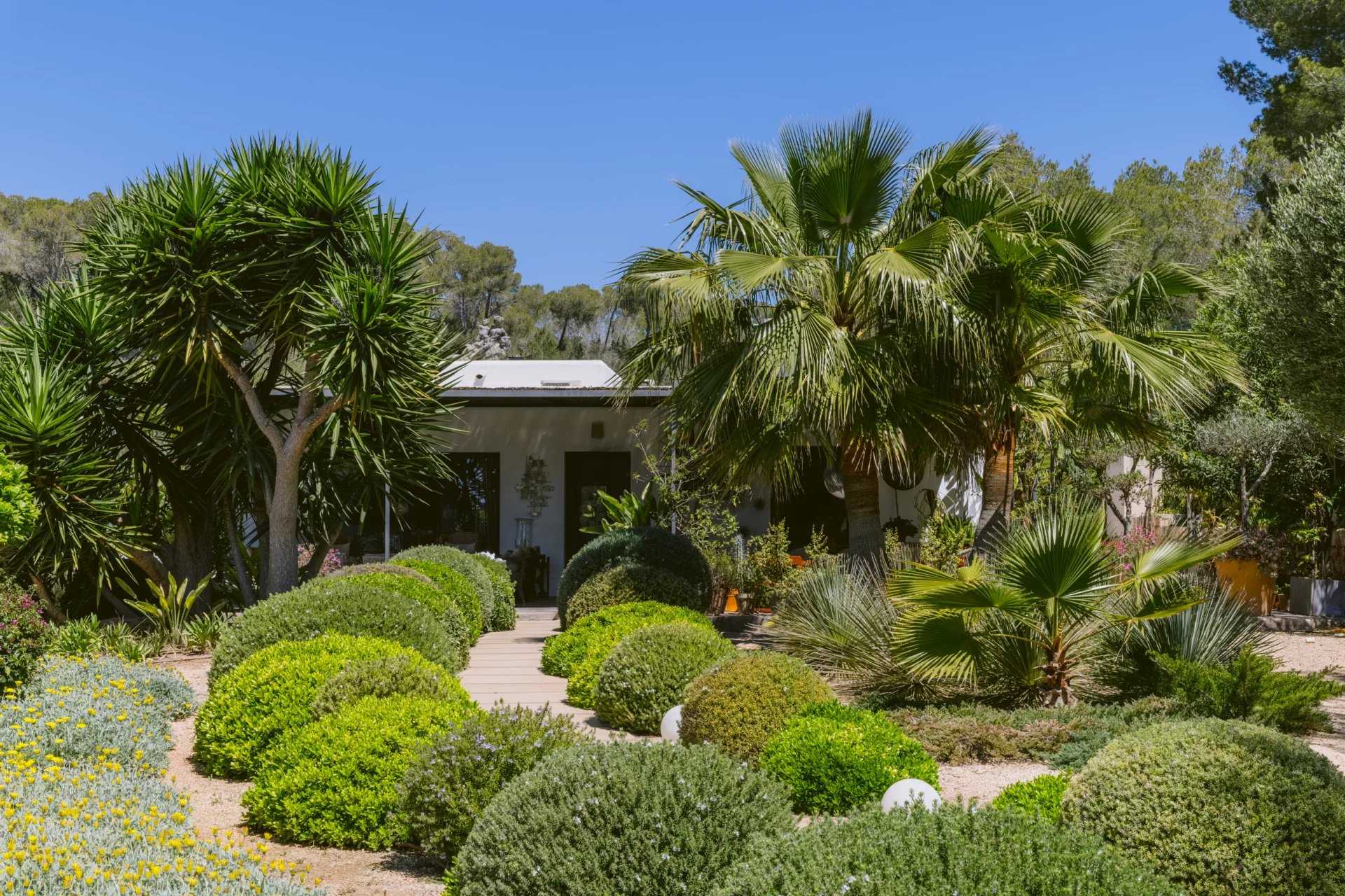 Isla de Ibiza  - Villa 