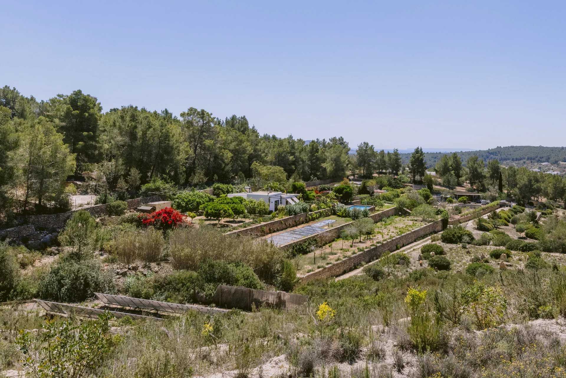 Isla de Ibiza  - Villa 