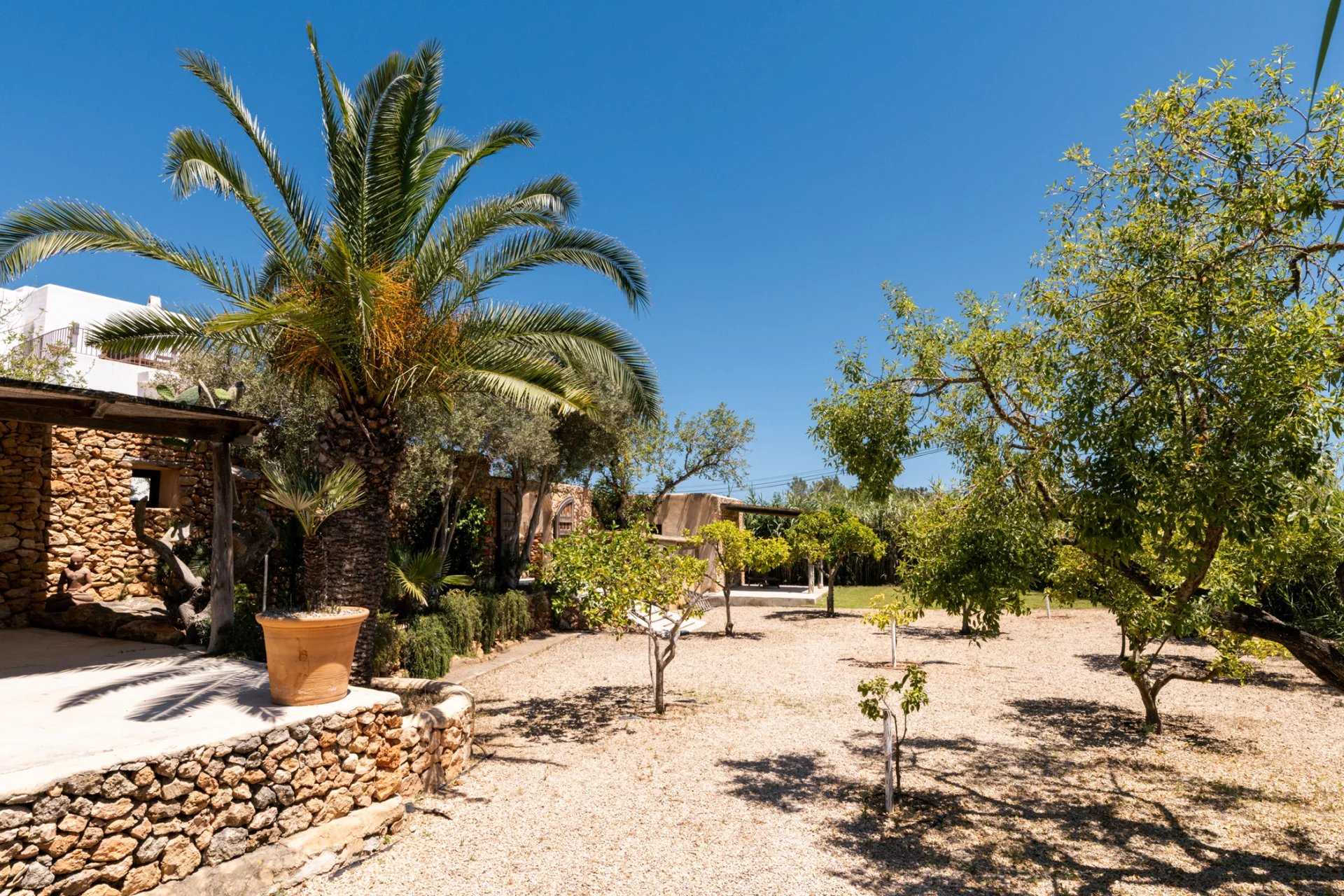 Isla de Ibiza  - Villa 