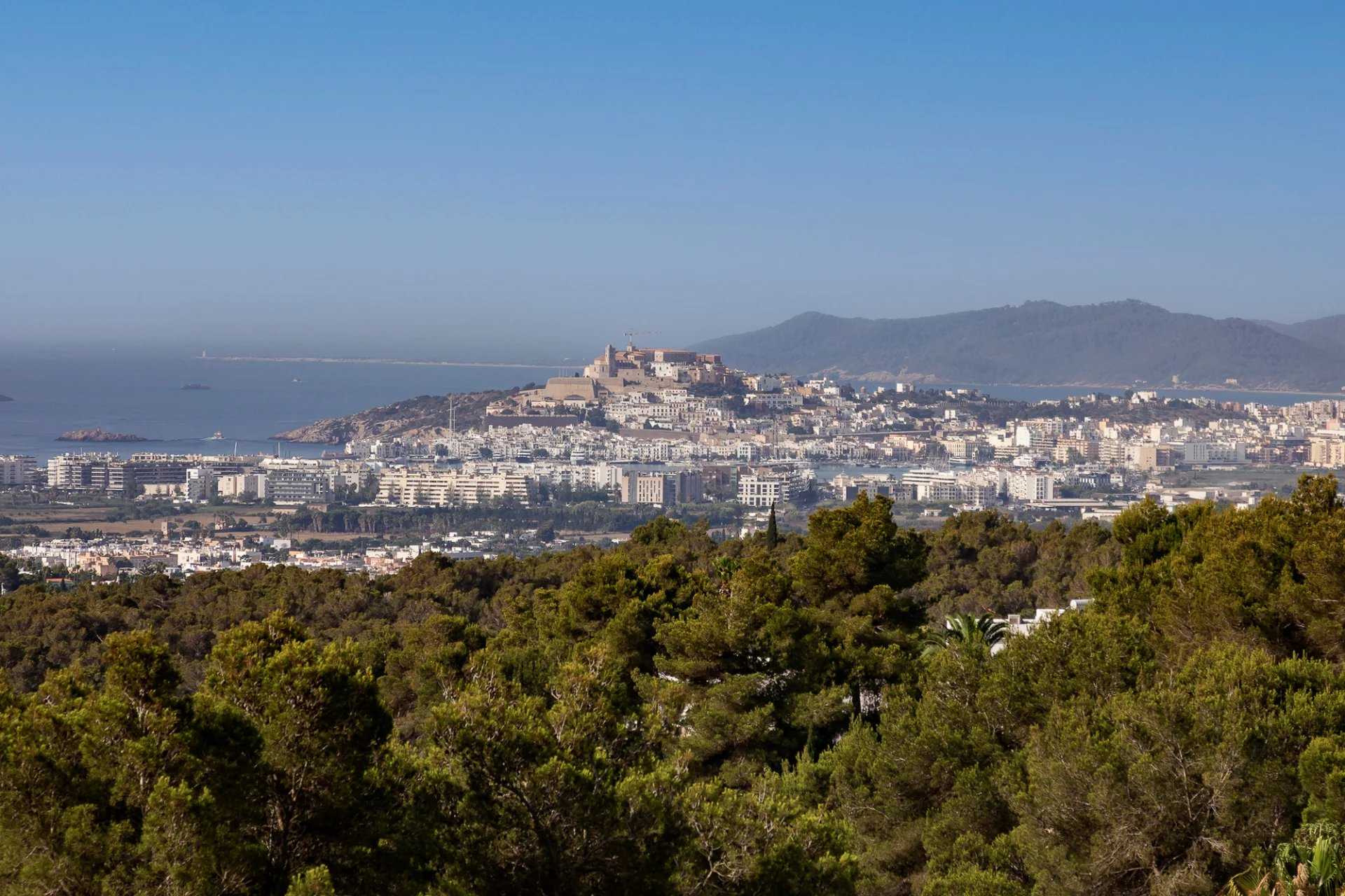 Villa Isla de Ibiza  -  ref 85929055 (picture 2)