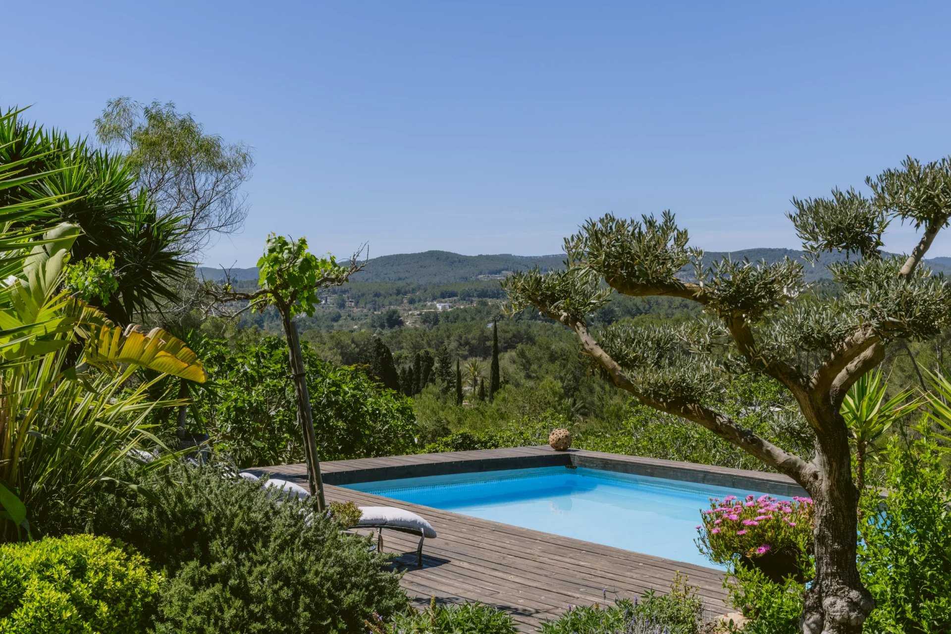 Villa Isla de Ibiza  -  ref 85899464 (picture 1)