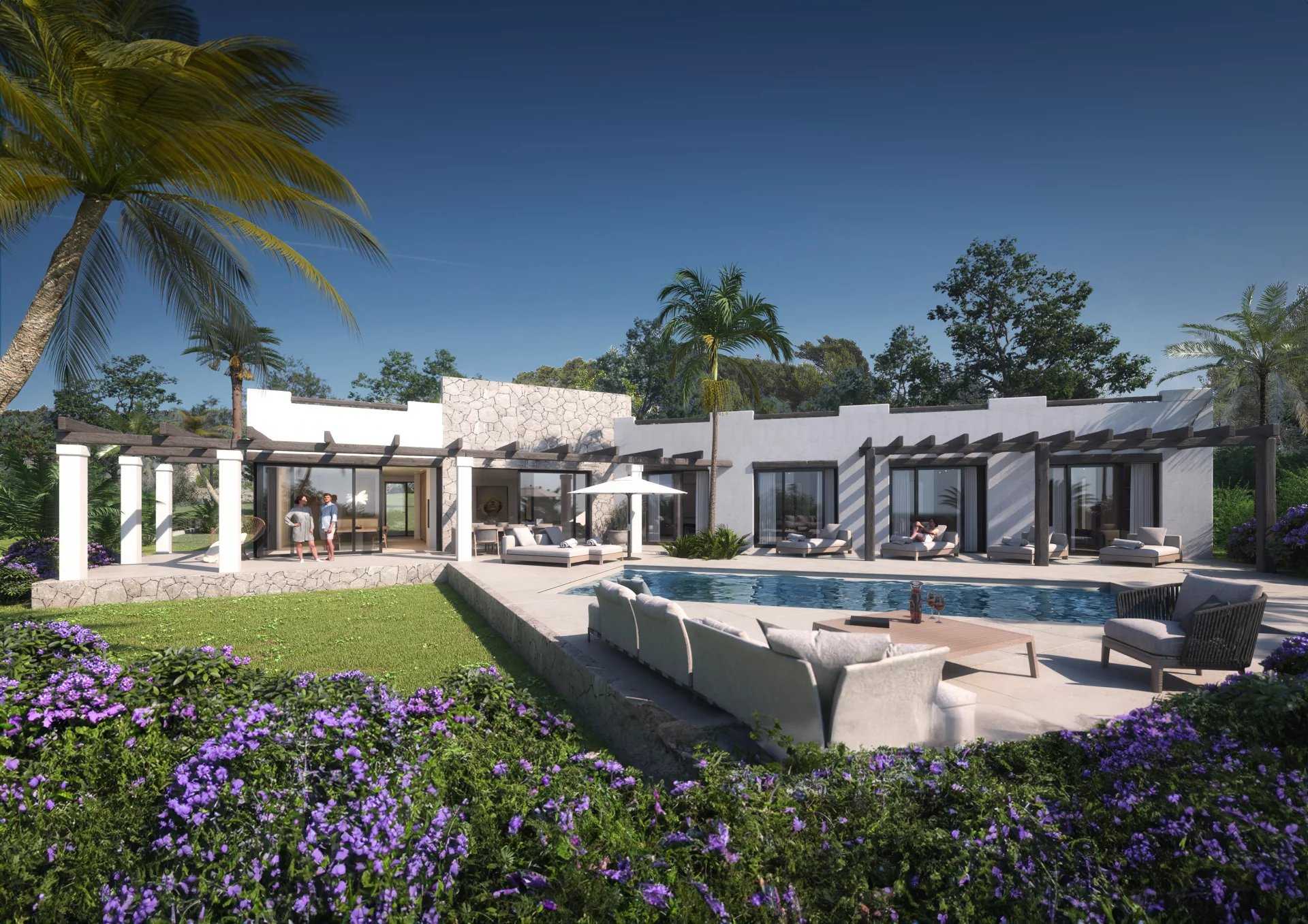 Villa Isla de Ibiza  -  ref 85930902 (picture 1)