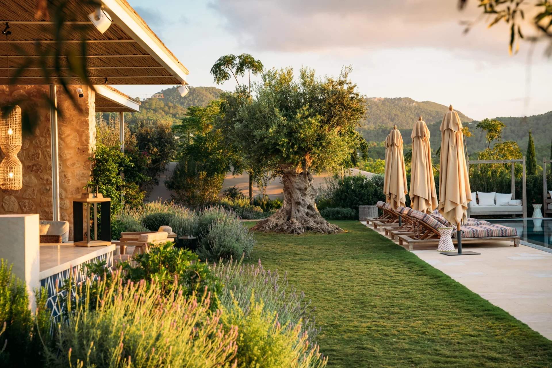 Isla de Ibiza  - Villa  - picture 8