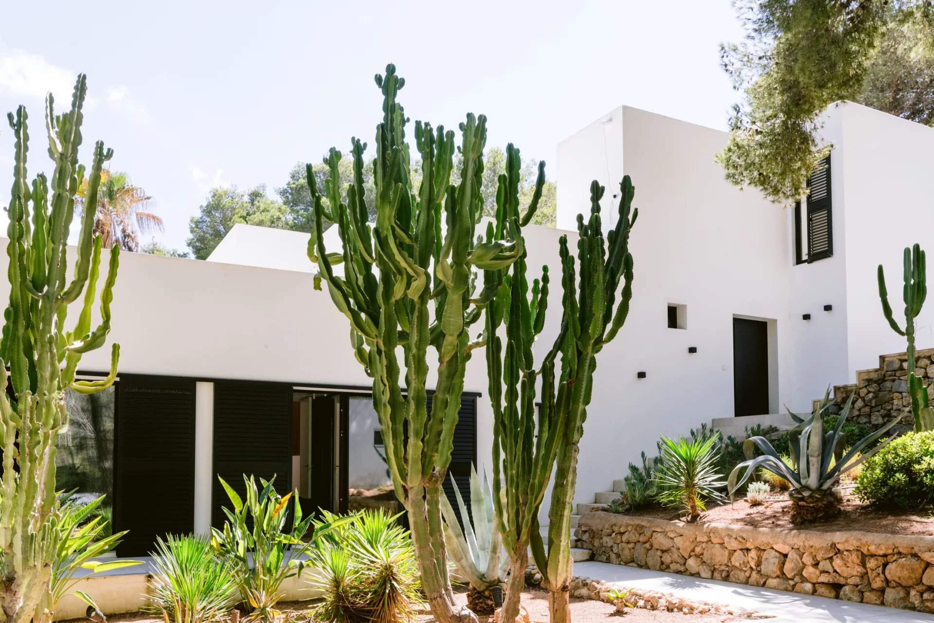 Isla de Ibiza  - Villa 6 Bedrooms - picture 5