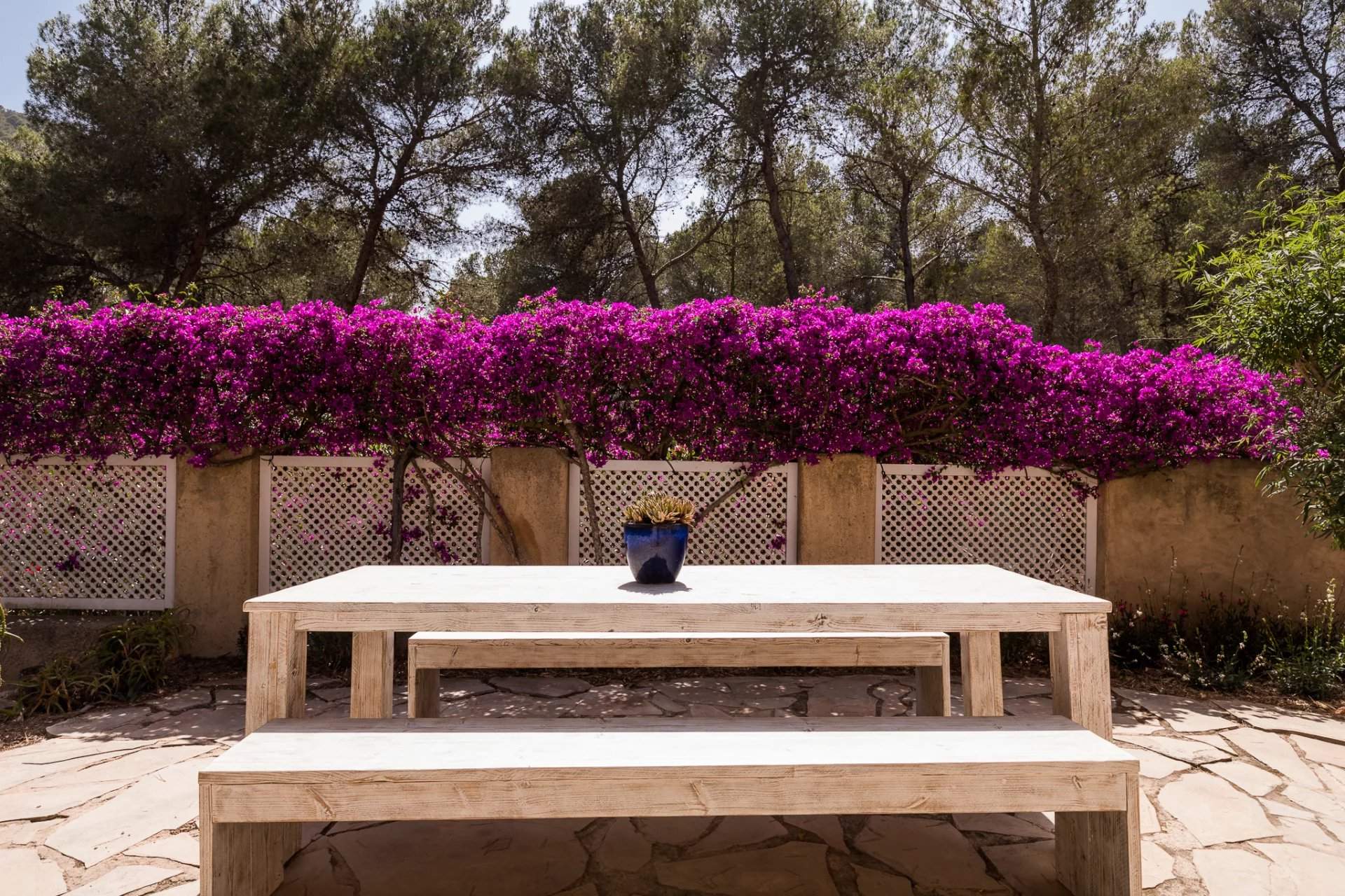 Isla de Ibiza  - Villa  - picture 6