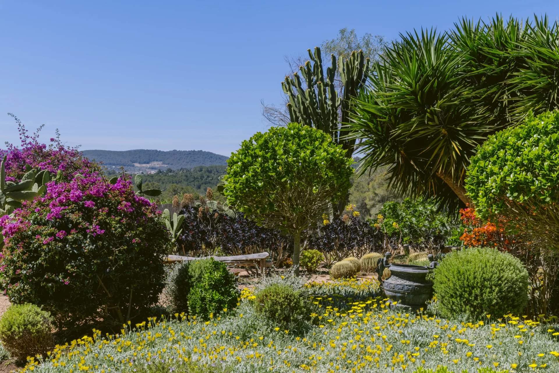 Isla de Ibiza  - Villa  - picture 9