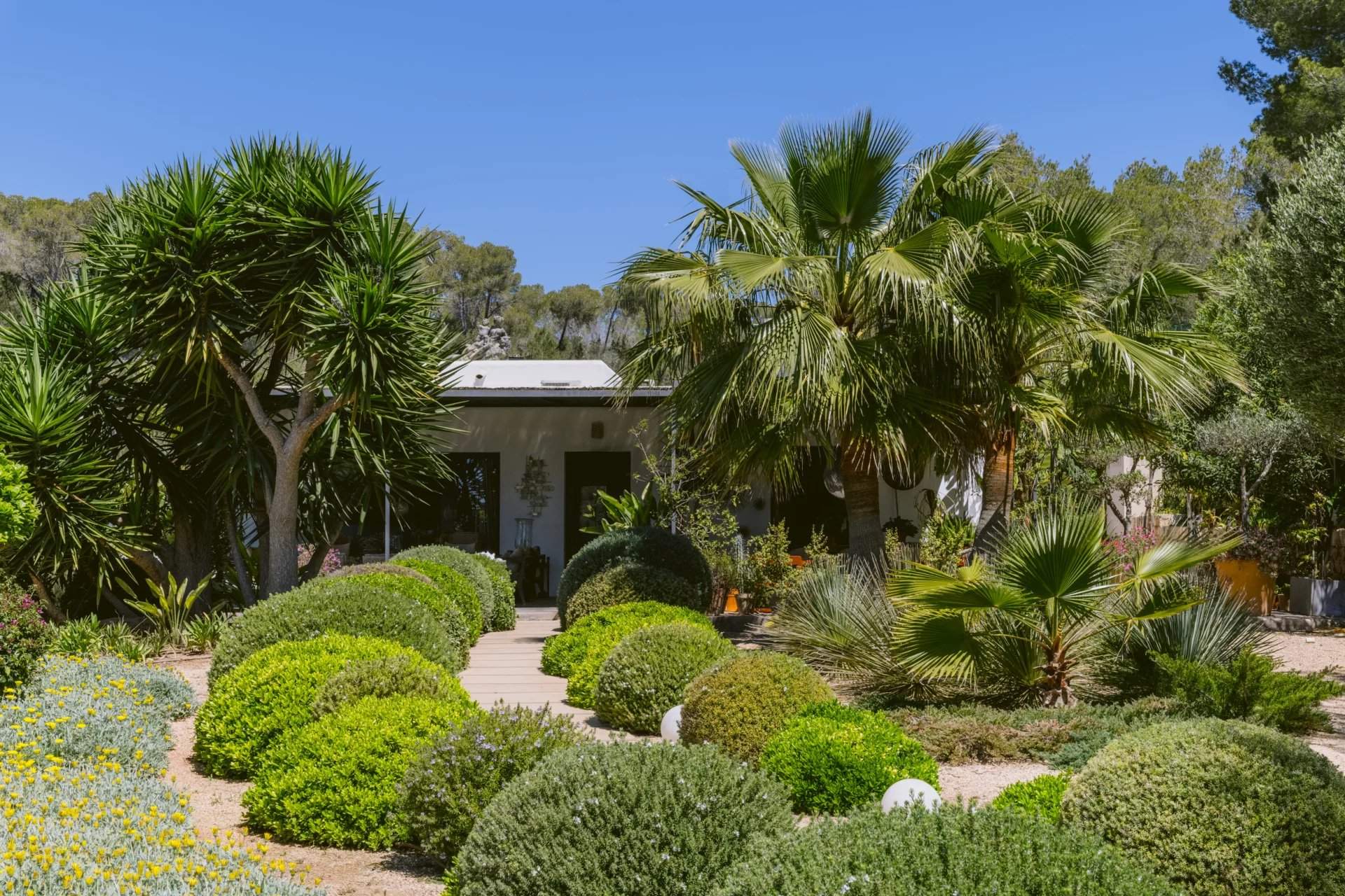 Isla de Ibiza  - Villa  - picture 4