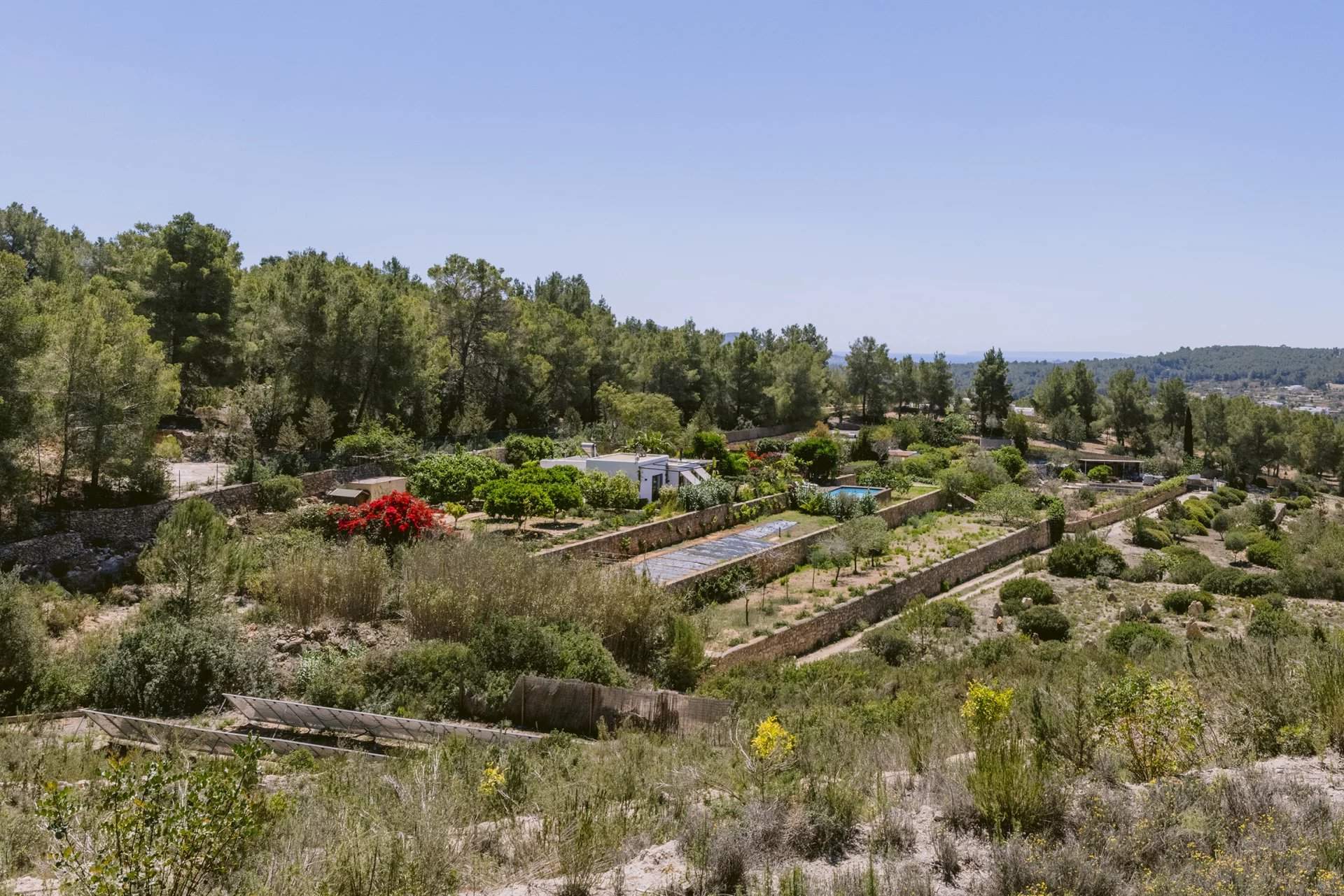 Isla de Ibiza  - Villa  - picture 1