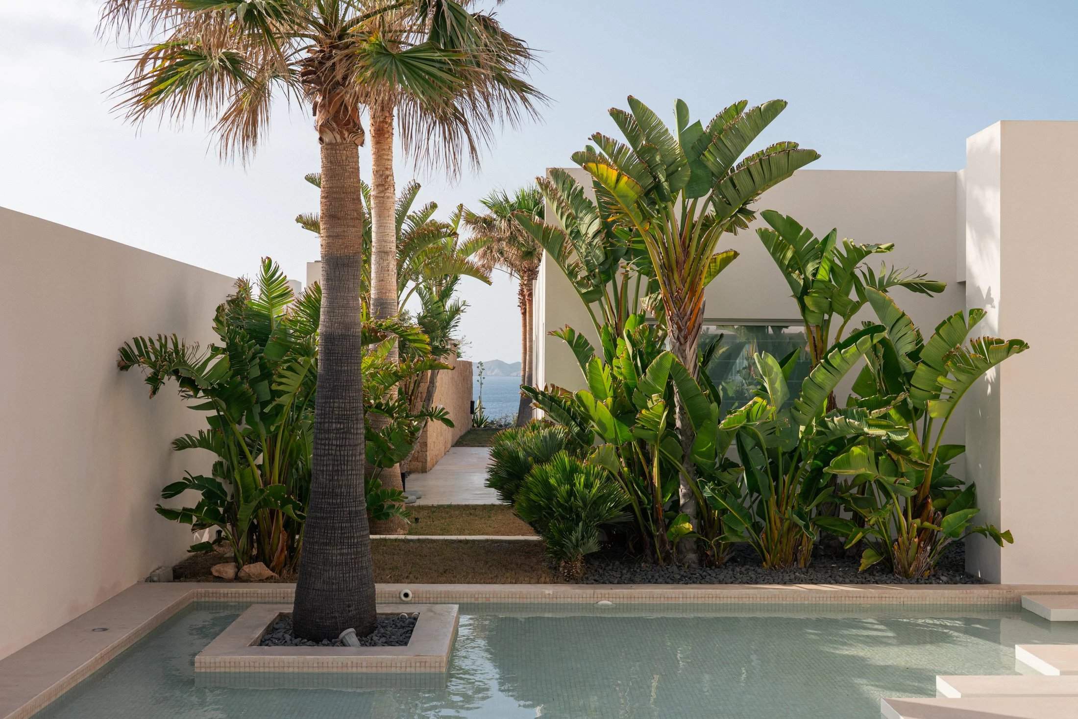 Isla de Ibiza  - Villa  - picture 4