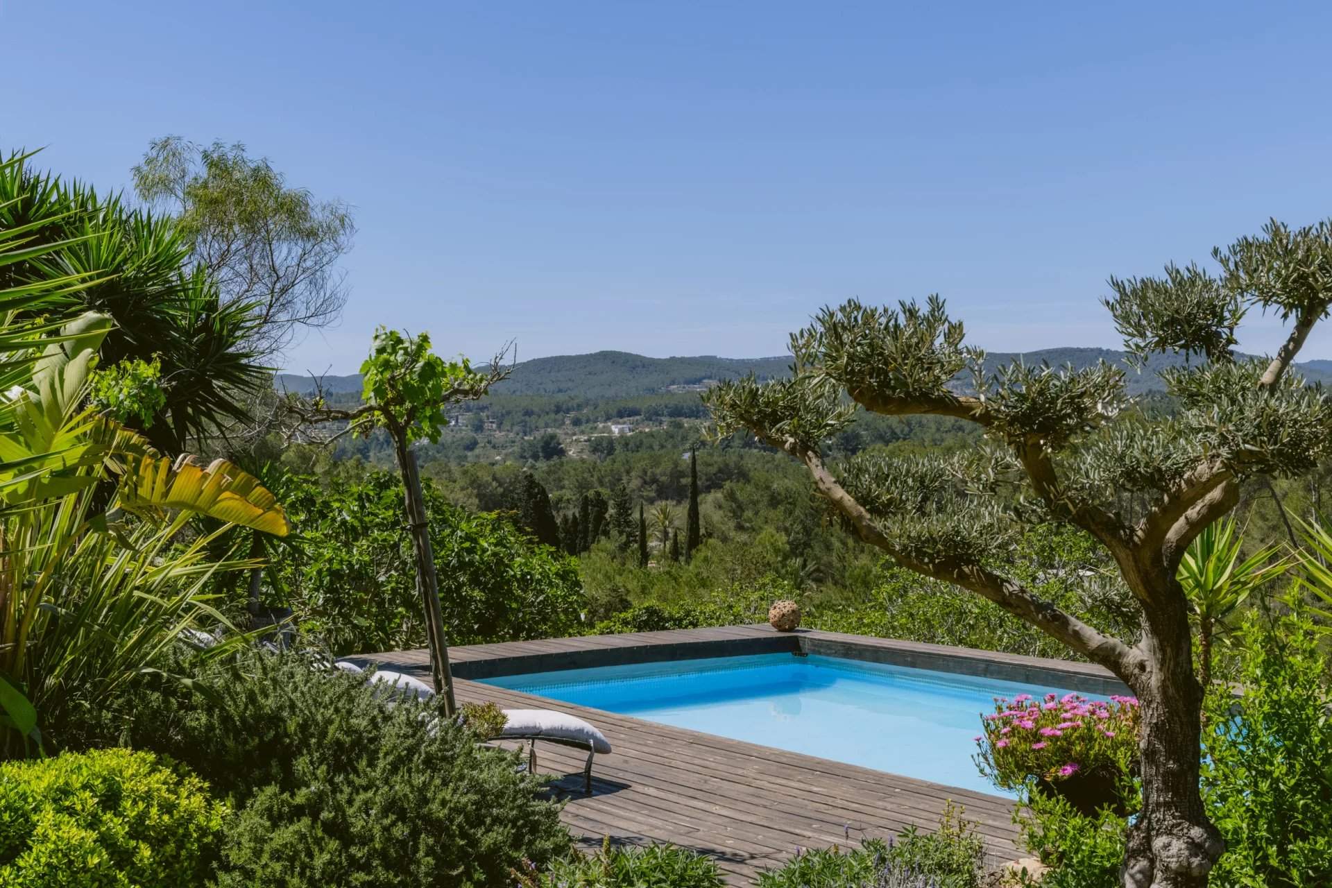 Isla de Ibiza  - Villa  - picture 6