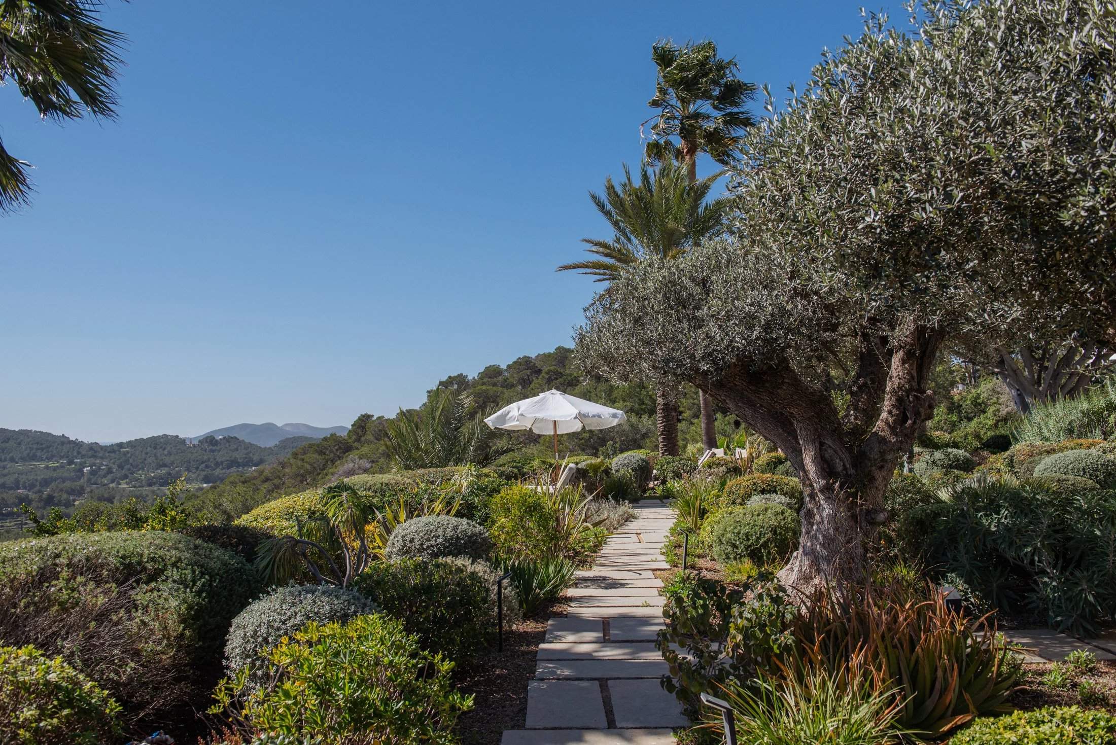 Isla de Ibiza  - Villa  - picture 20