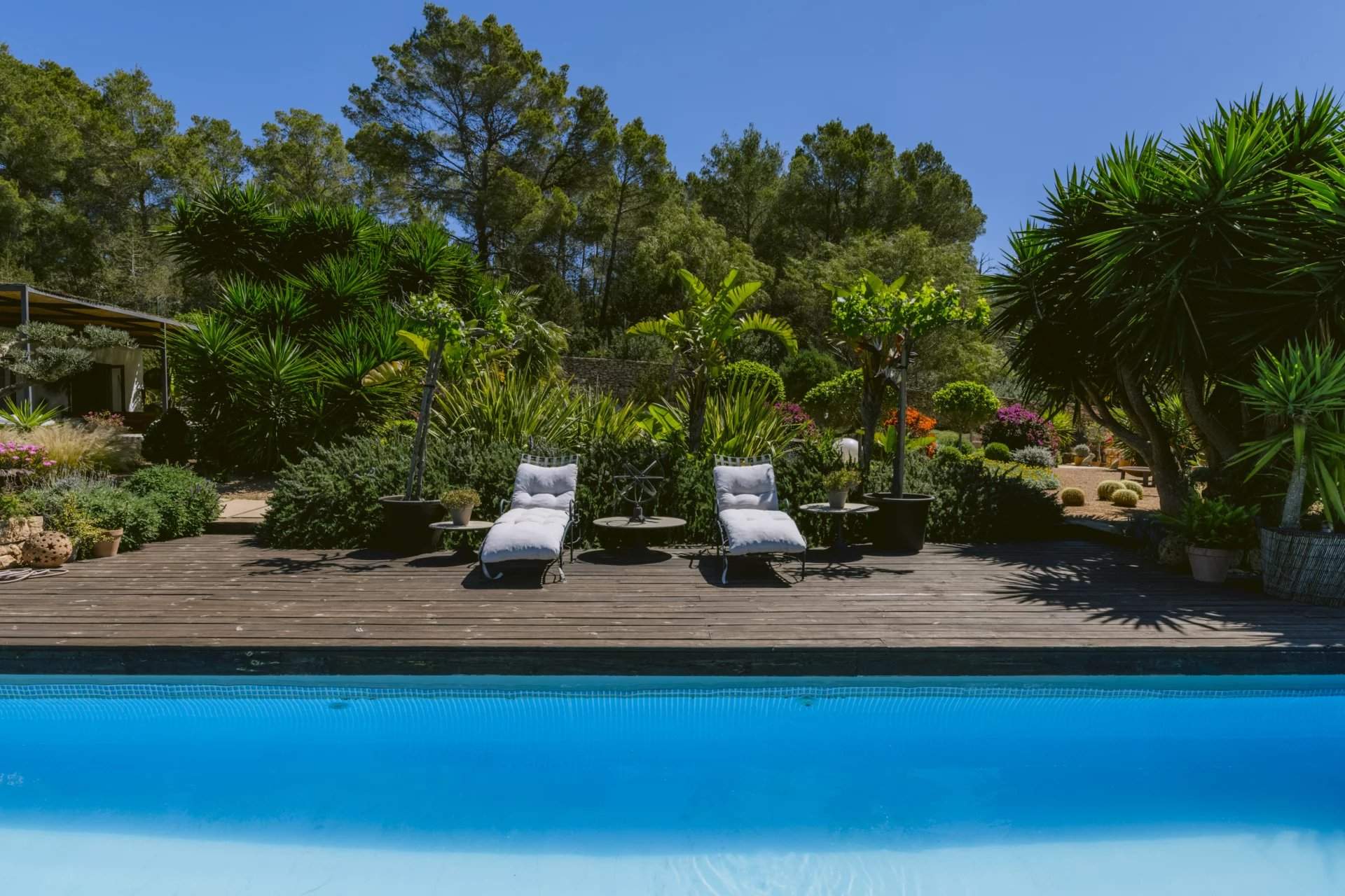 Isla de Ibiza  - Villa  - picture 7