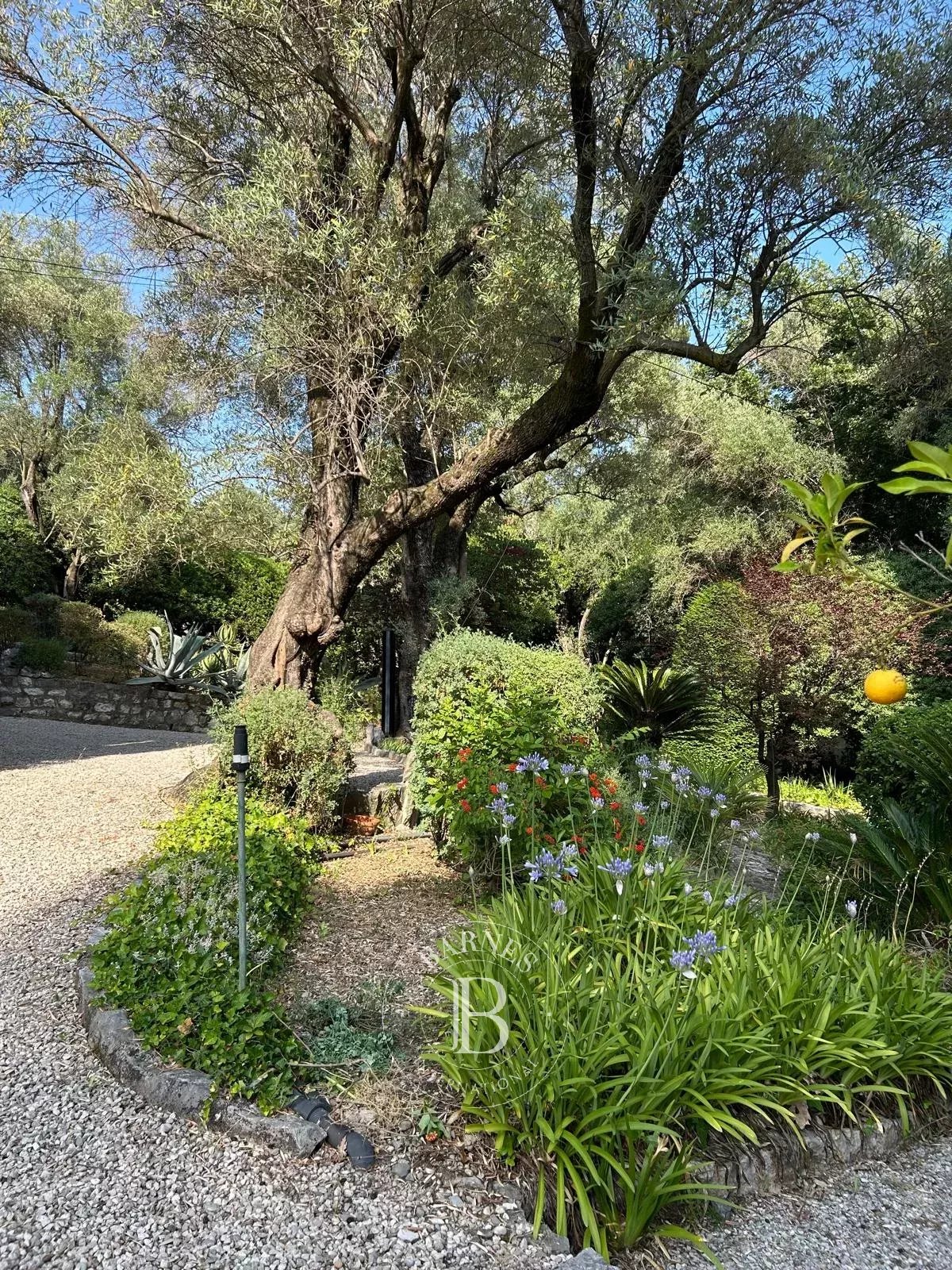 Saint-Paul-de-Vence  - Villa 8 Pi&egrave;ces 4 Chambres - picture 12
