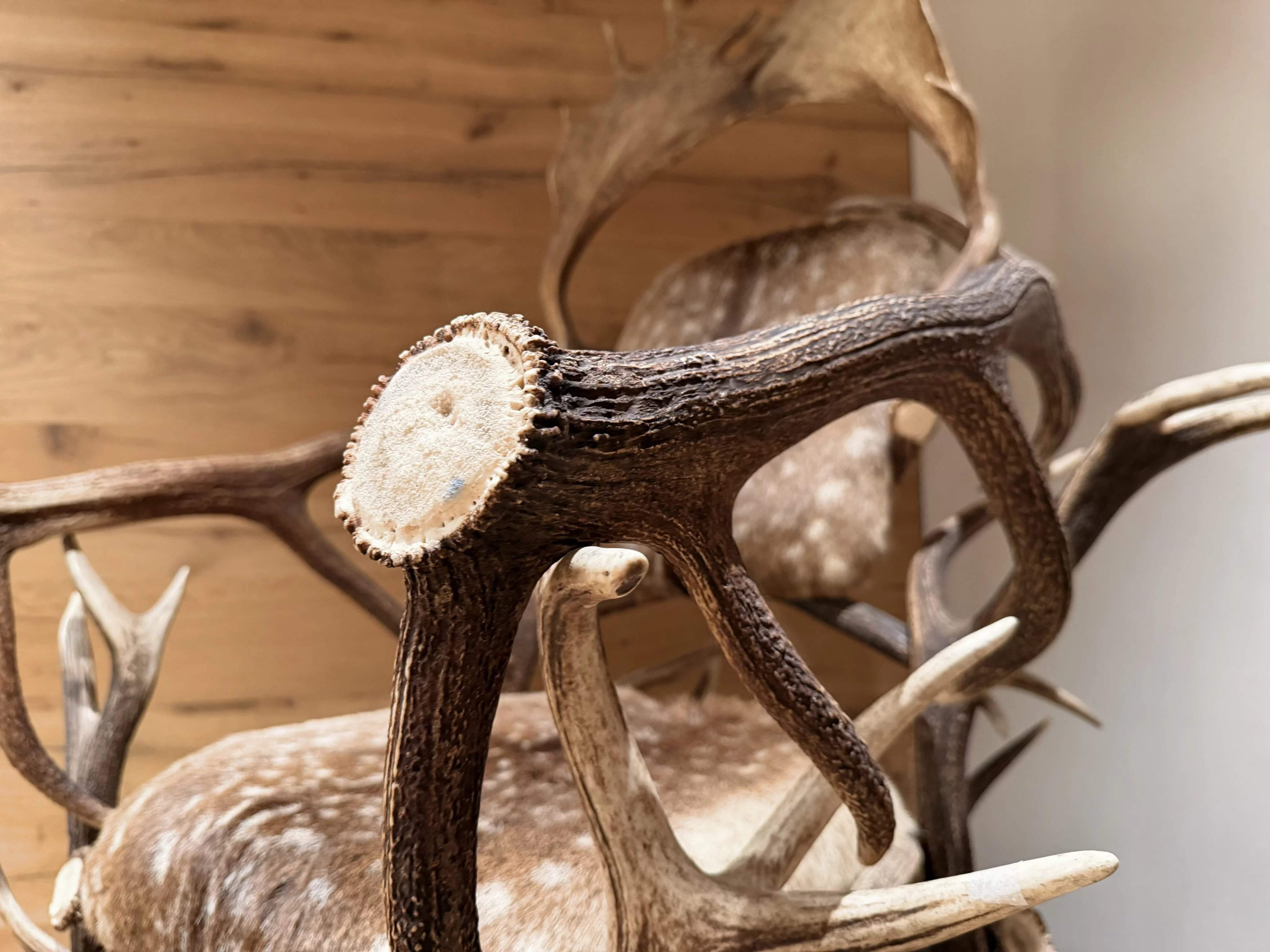 Badia  - Chalet  - picture 13