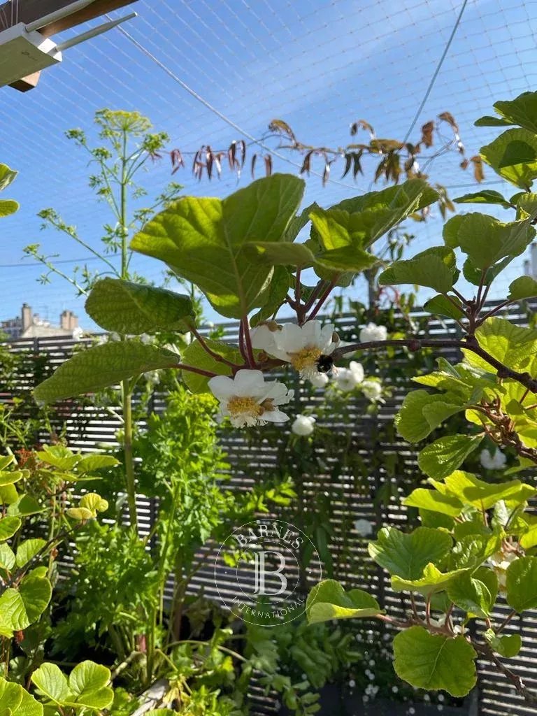 Paris  - Maison 10 Pi&egrave;ces 4 Chambres - picture 19