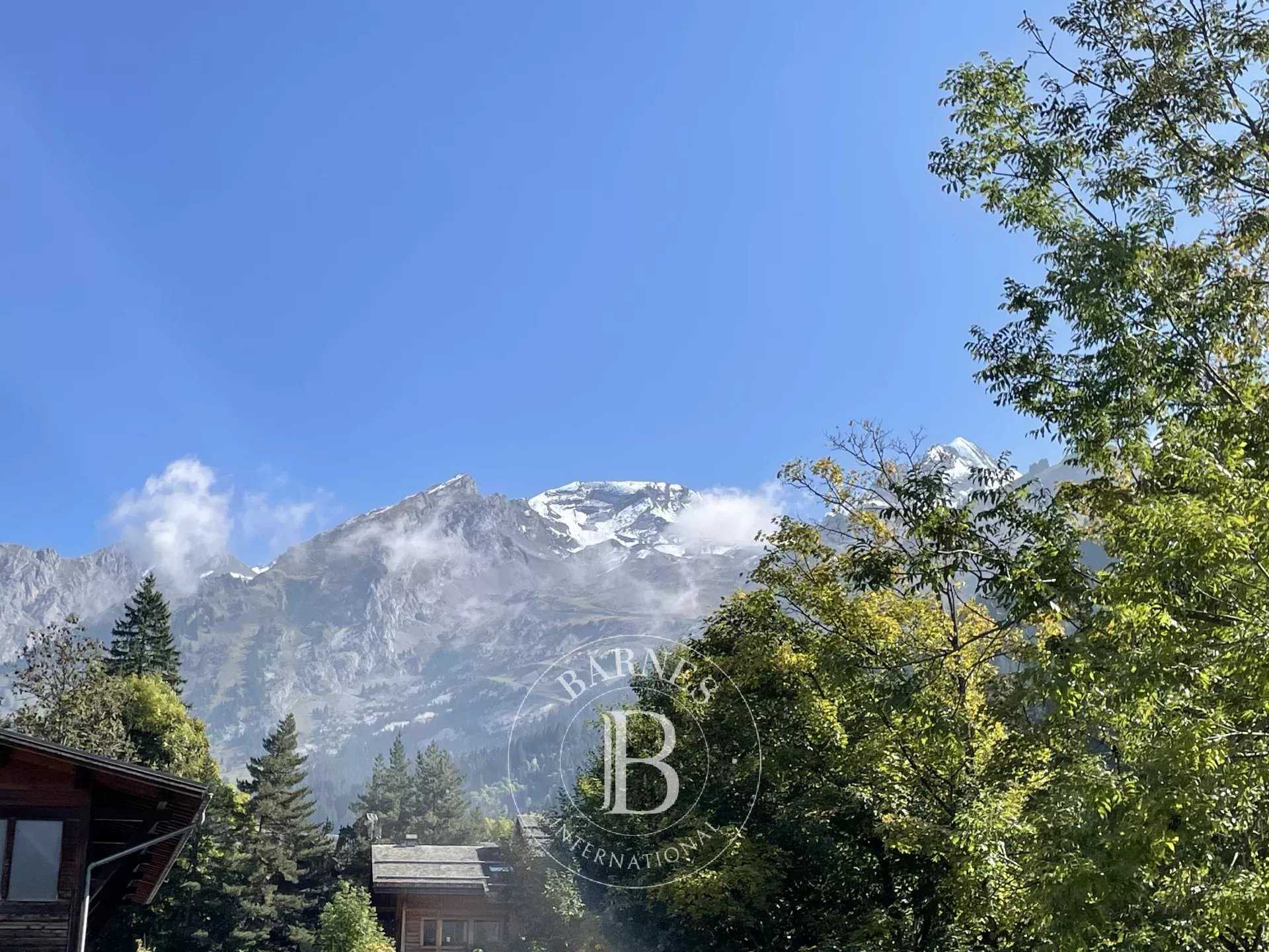 La Clusaz  - Apartment 2 Bedrooms