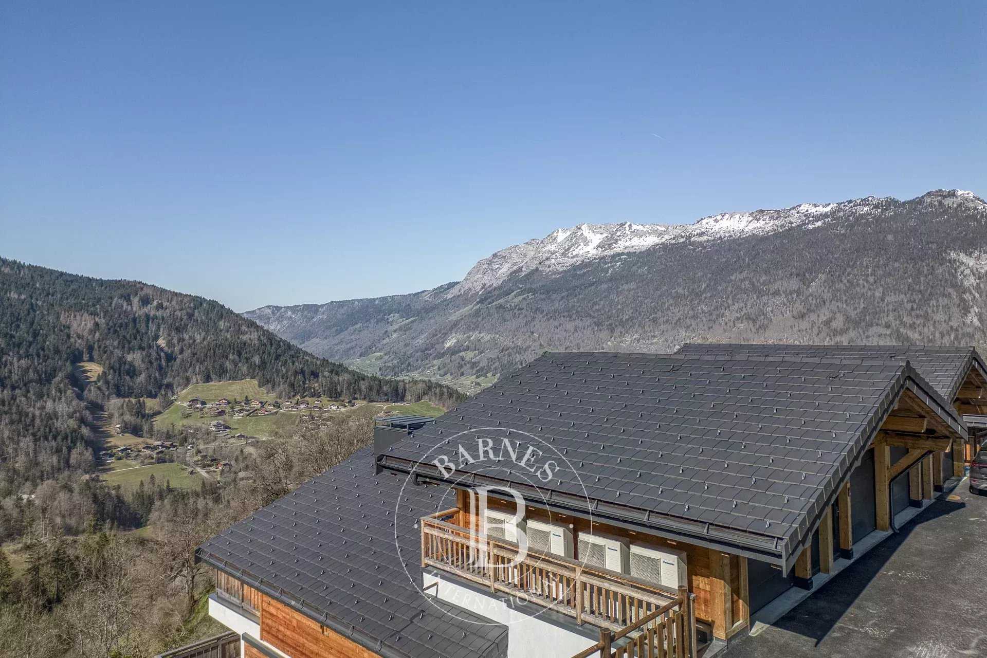 Saint-Jean-de-Sixt  - Apartment 3 Bedrooms