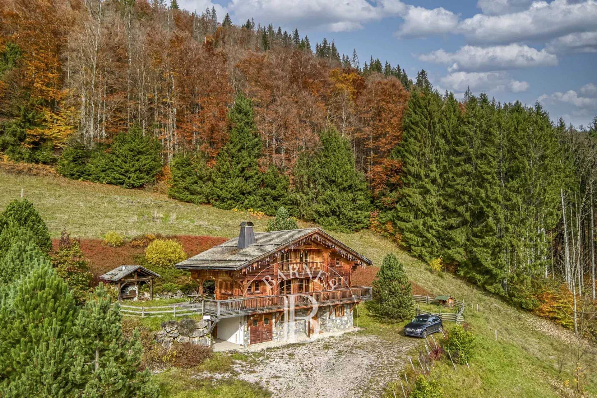 Saint-Jean-de-Sixt  - Chalet 5 Bedrooms