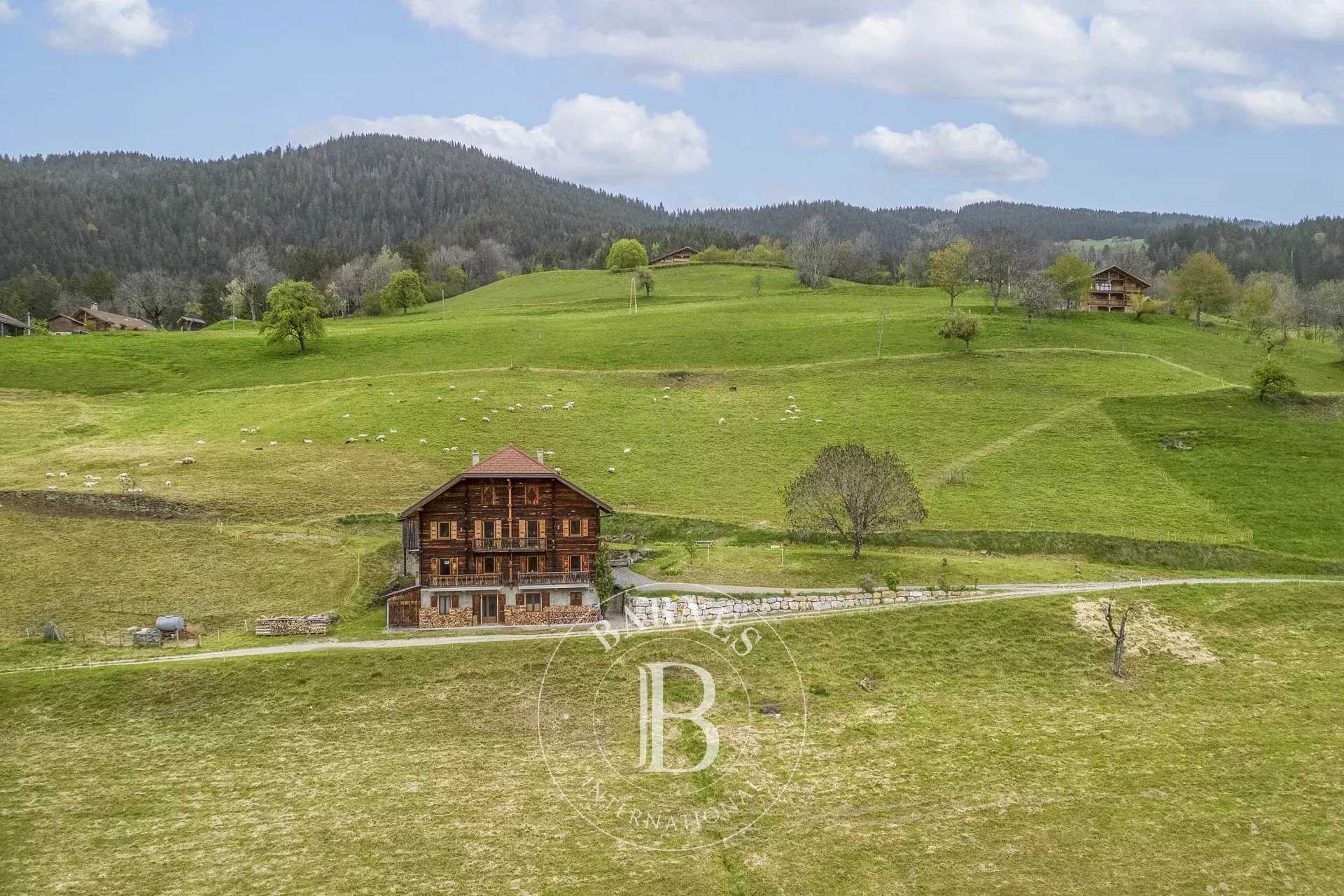 Chalet Manigod  -  ref 84674285 (picture 3)