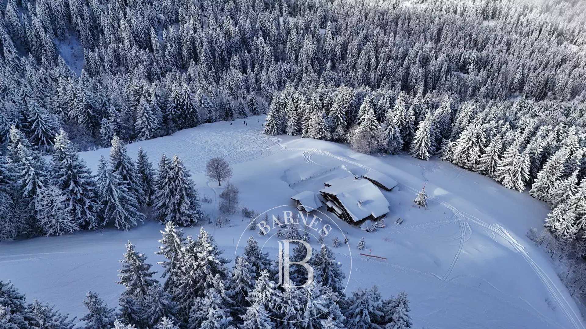 Chalet Megève  -  ref 85837004 (picture 1)