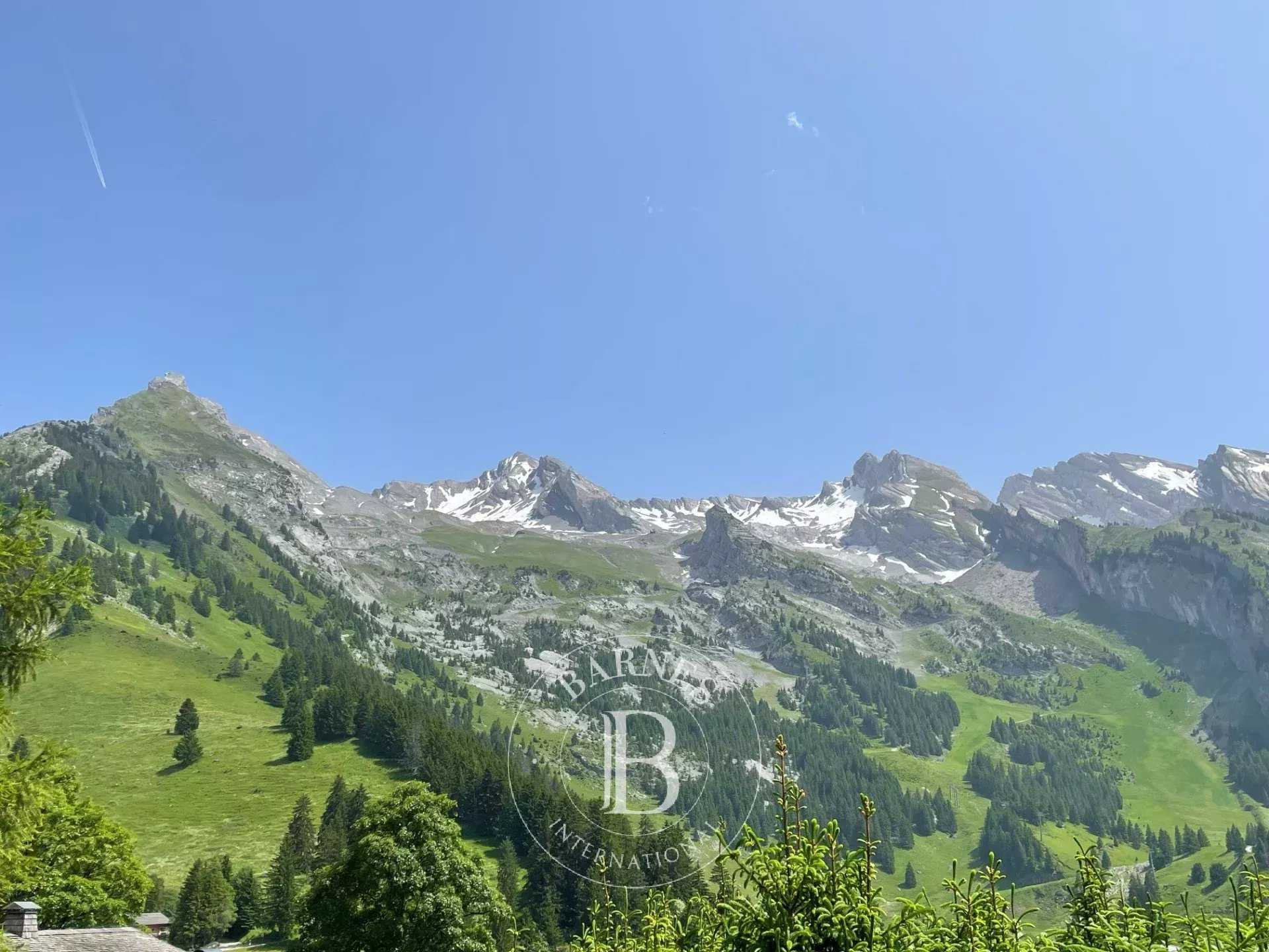 Chalet La Clusaz  -  ref 86001362 (picture 1)