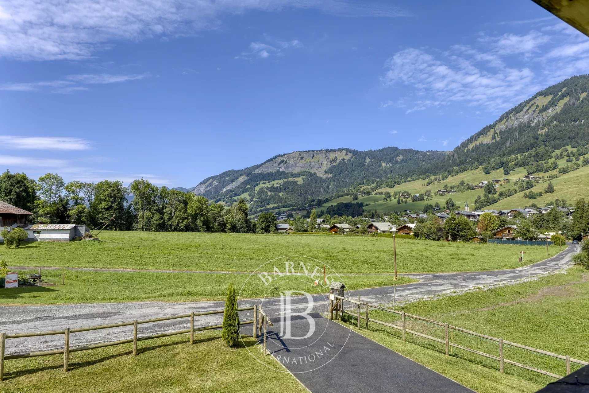 Chalet Praz-sur-Arly  -  ref 5853170 (picture 1)