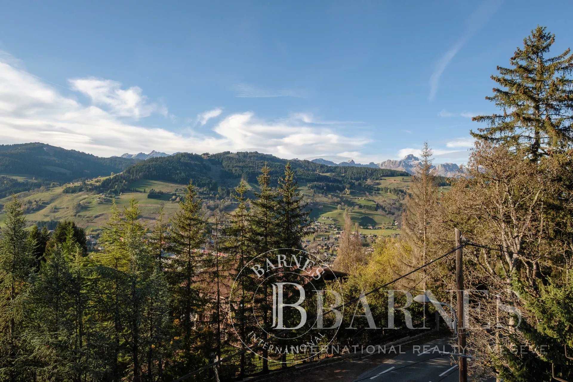 Chalet Megève  -  ref 7600749 (picture 3)