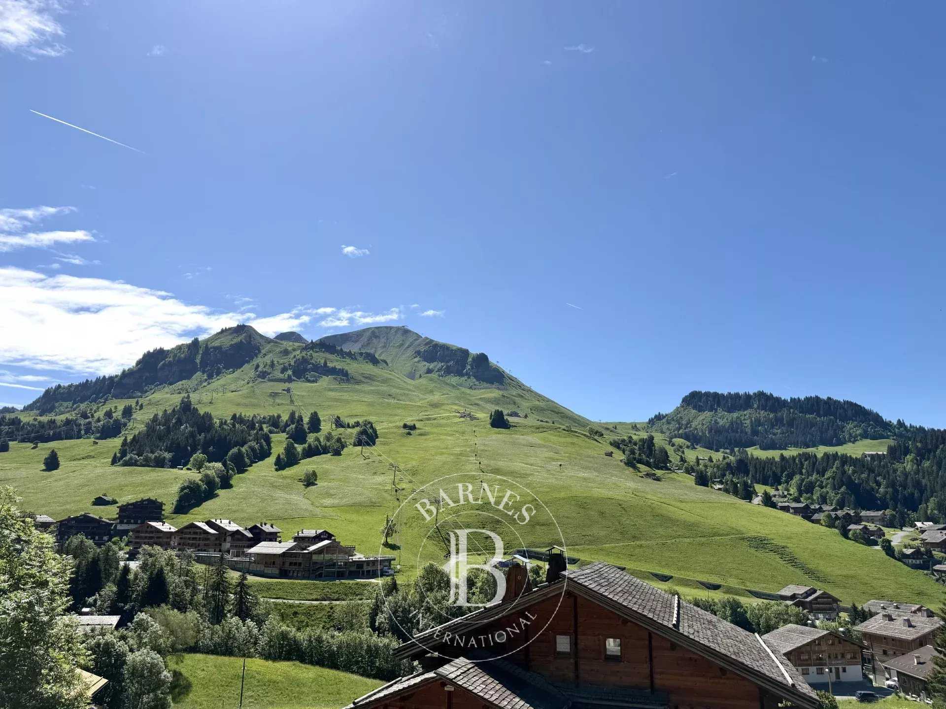 Appartement Le Grand-Bornand  -  ref 87107328 (picture 1)