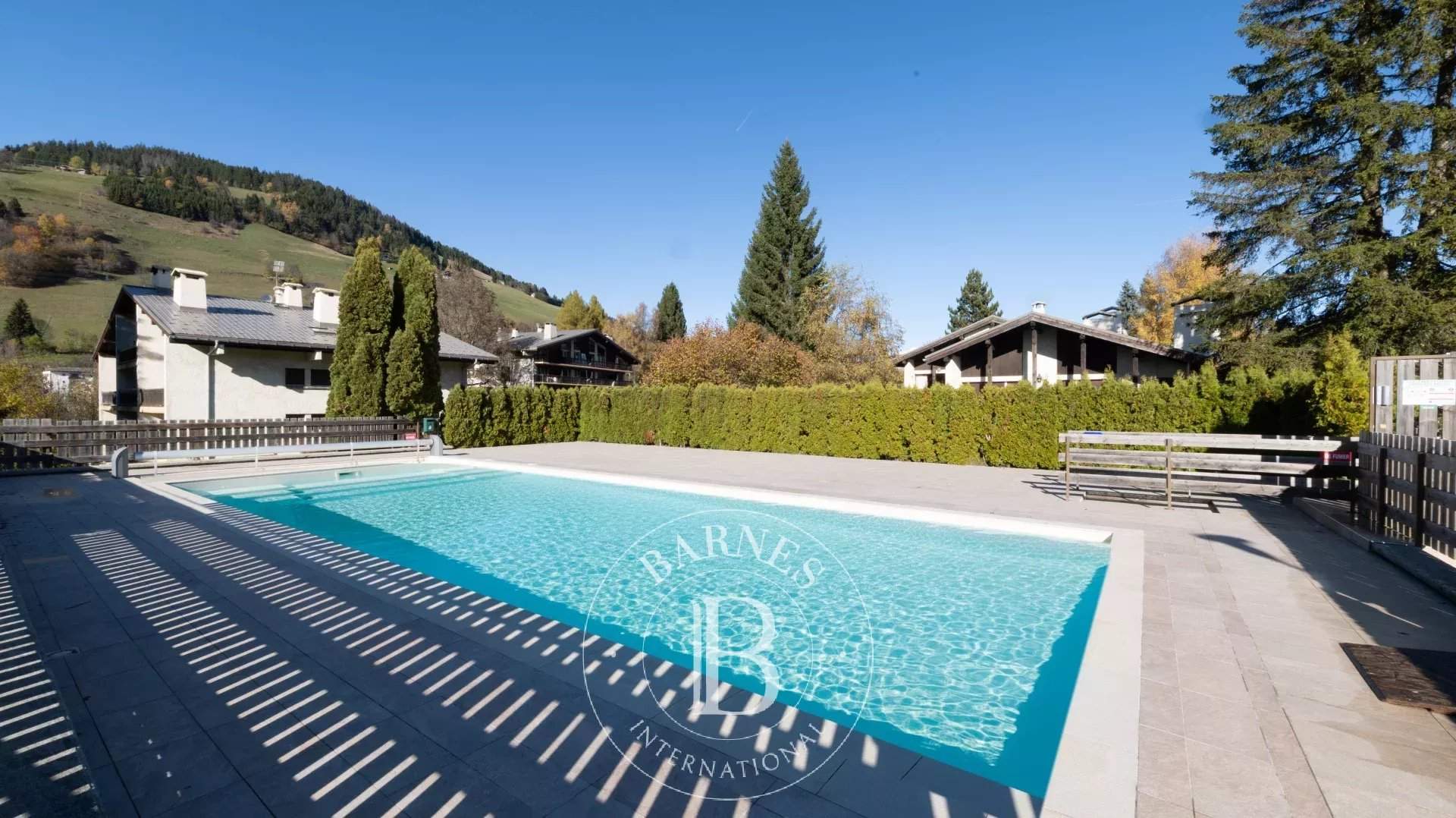 Megève  - Apartment 1 Bedroom - picture 12