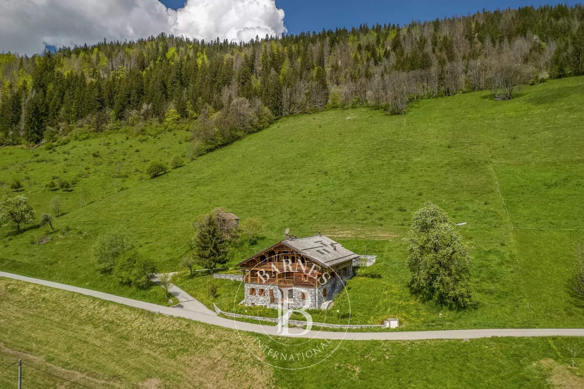 Le Grand-Bornand  - Chalet 10 Pièces 6 Chambres - picture 16