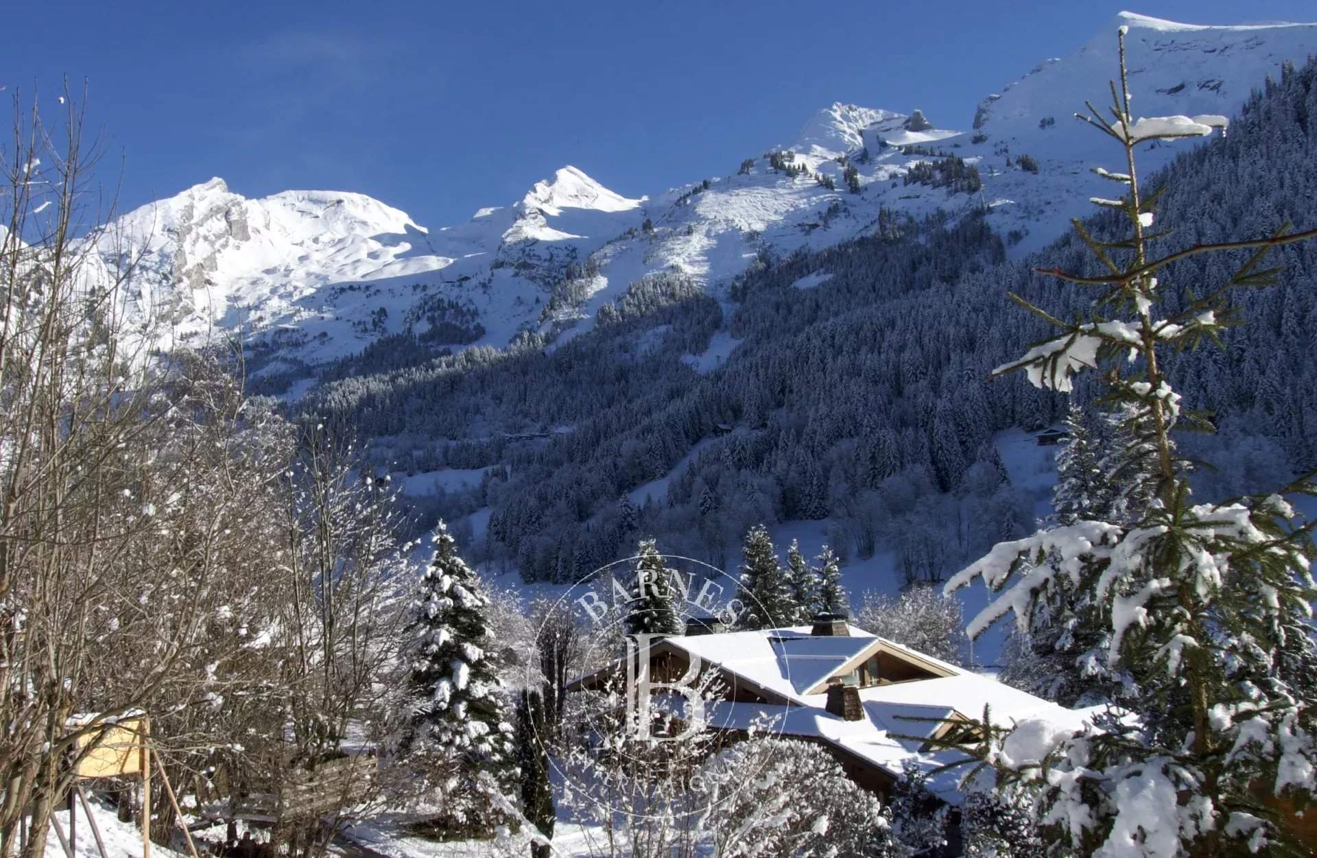 La Clusaz  - Terrain constructible  - picture 2