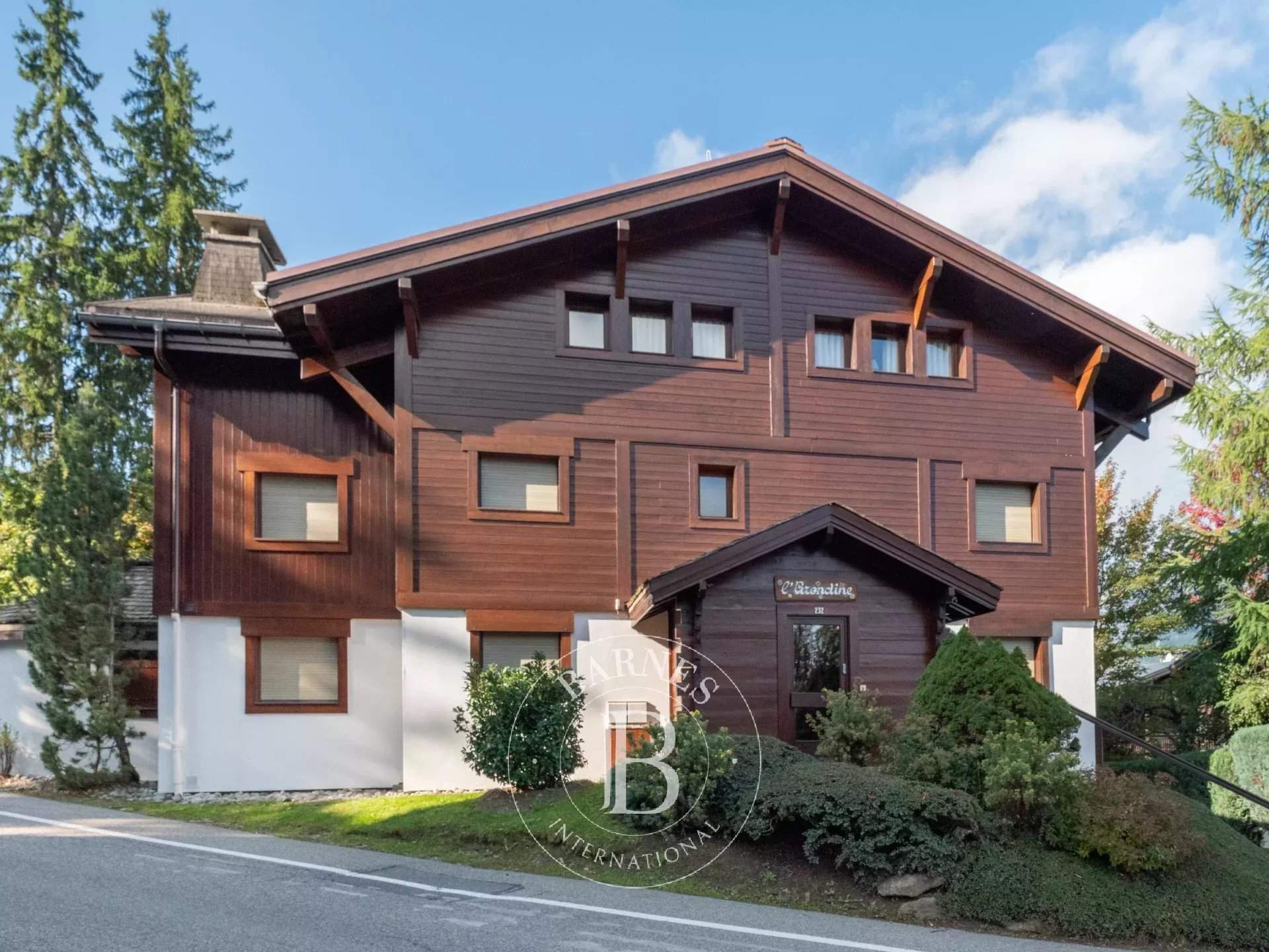 Megève  - Apartment 2 Bedrooms - picture 12