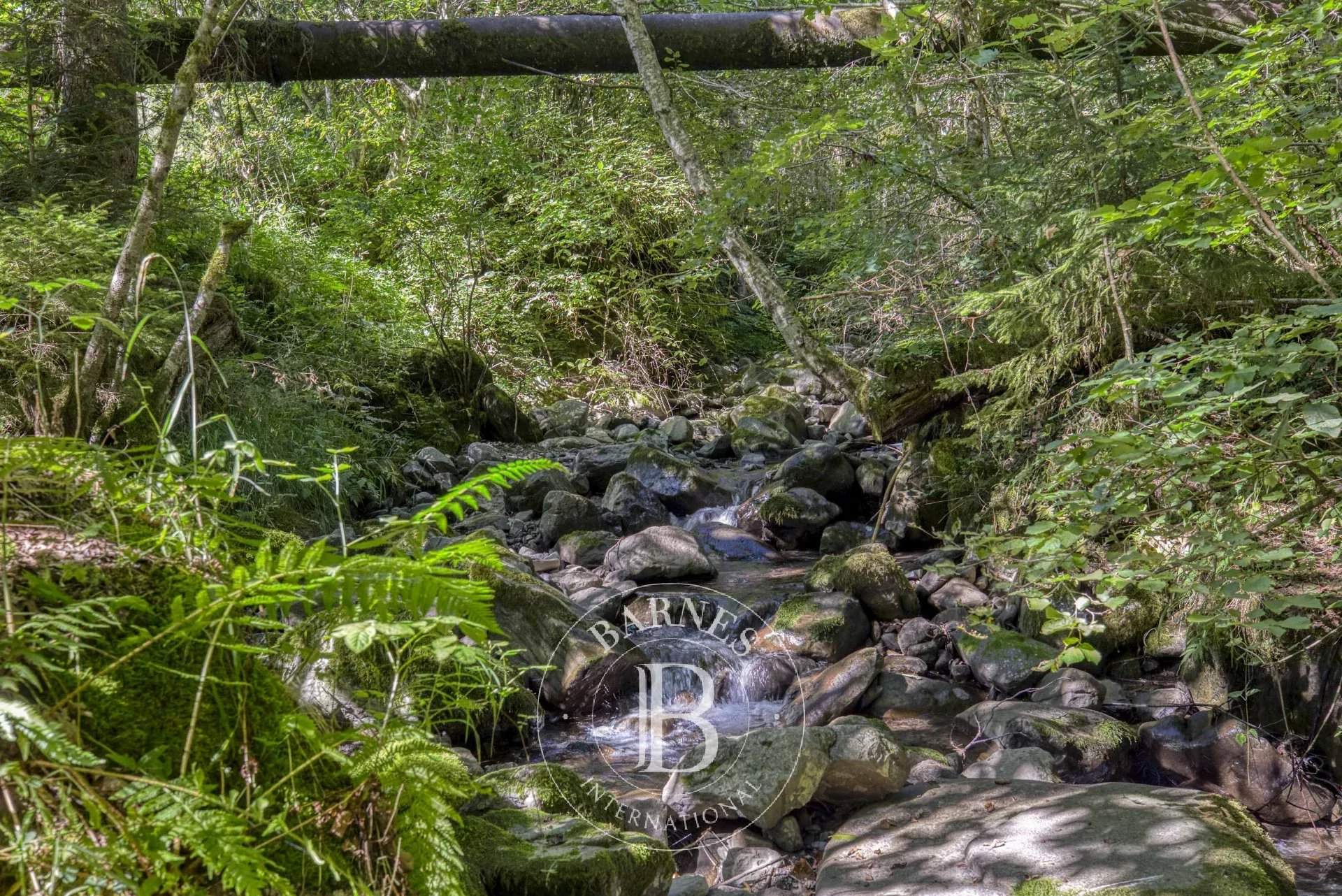 Manigod  - Chalet 6 Pi&egrave;ces 3 Chambres - picture 4