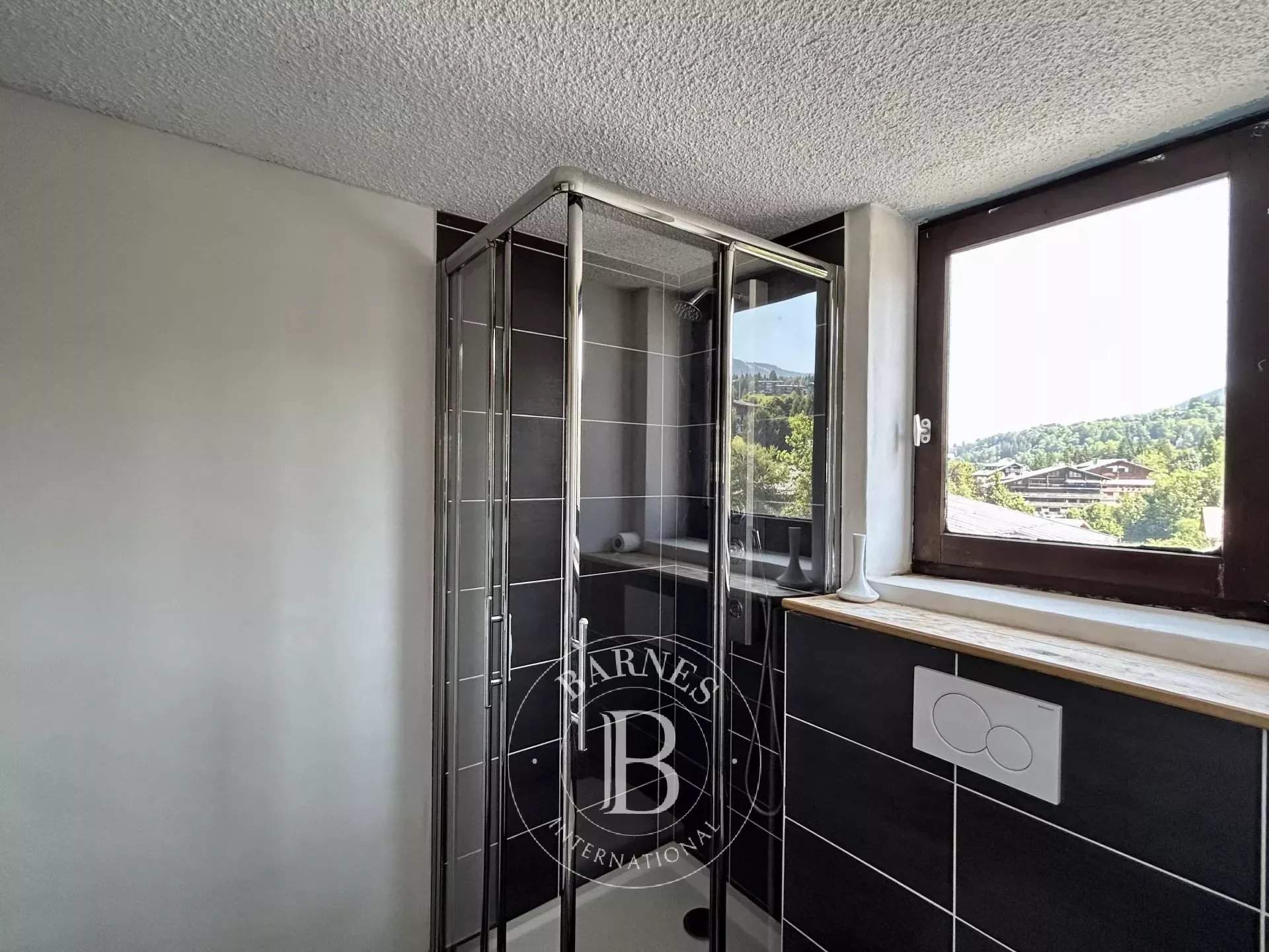 Megève  - Apartment 1 Bedroom - picture 8